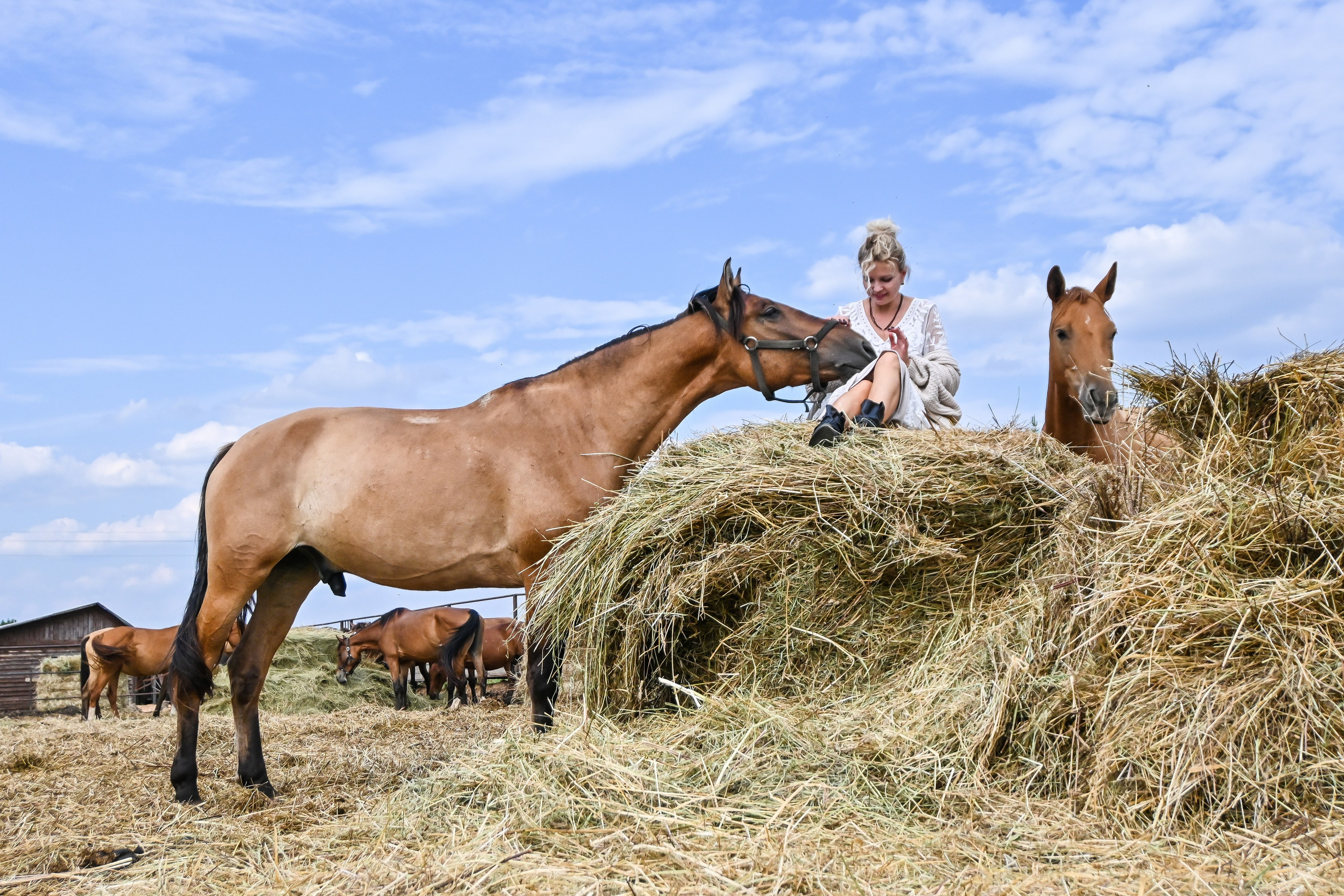 РАНЧО/ АВГУСТ. Фотограф для бизнесконтента, репортажей и семейного альбома в Москве