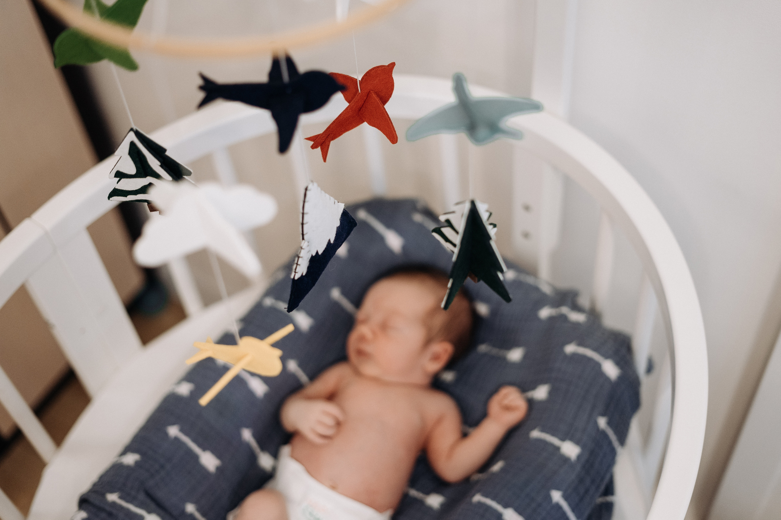 Семья Кристины. Свадебный и семейный фотограф в Москве, Юлия Лазарева