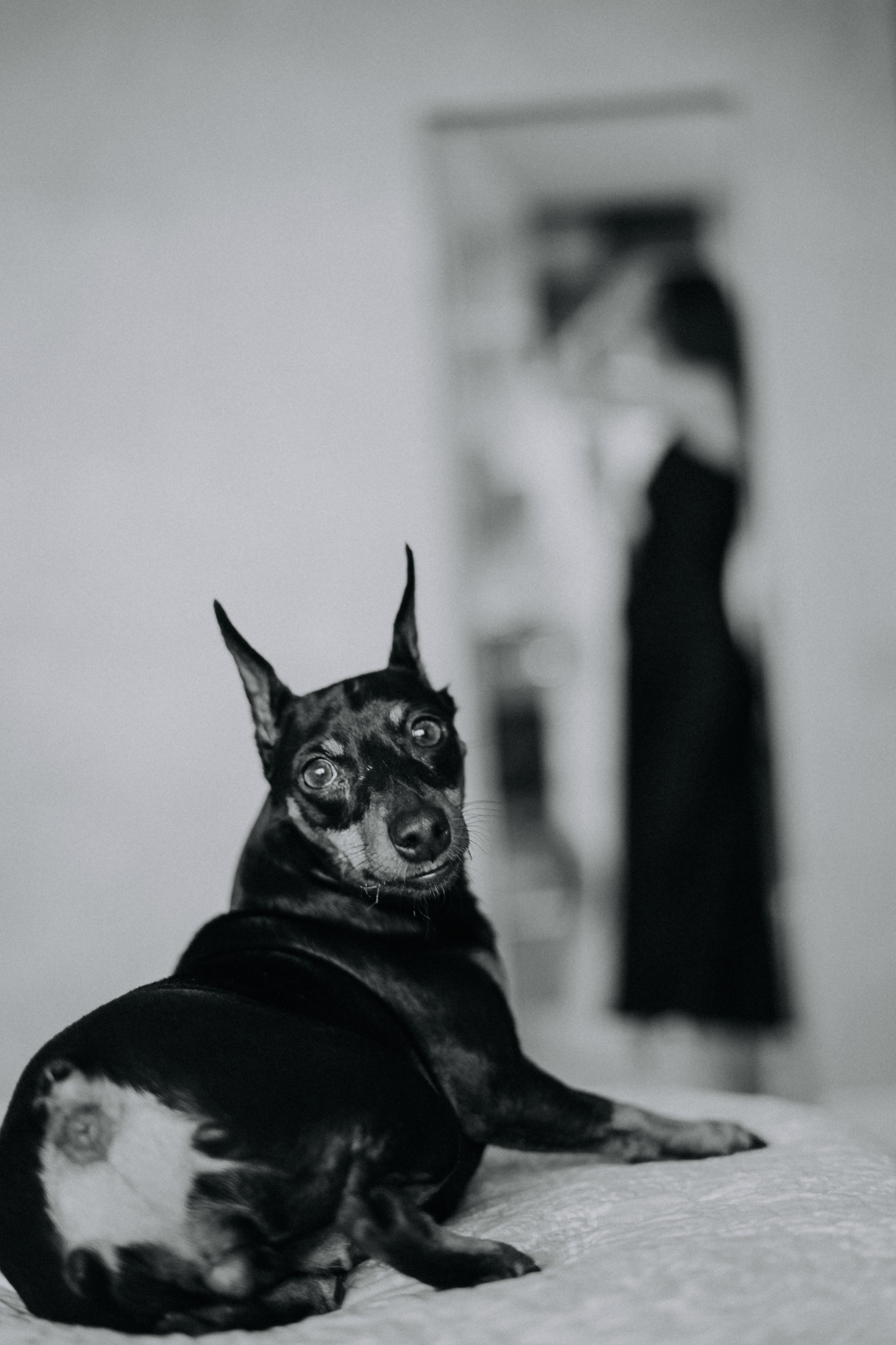 Анна. Свадебный и семейный фотограф в Москве, Юлия Лазарева