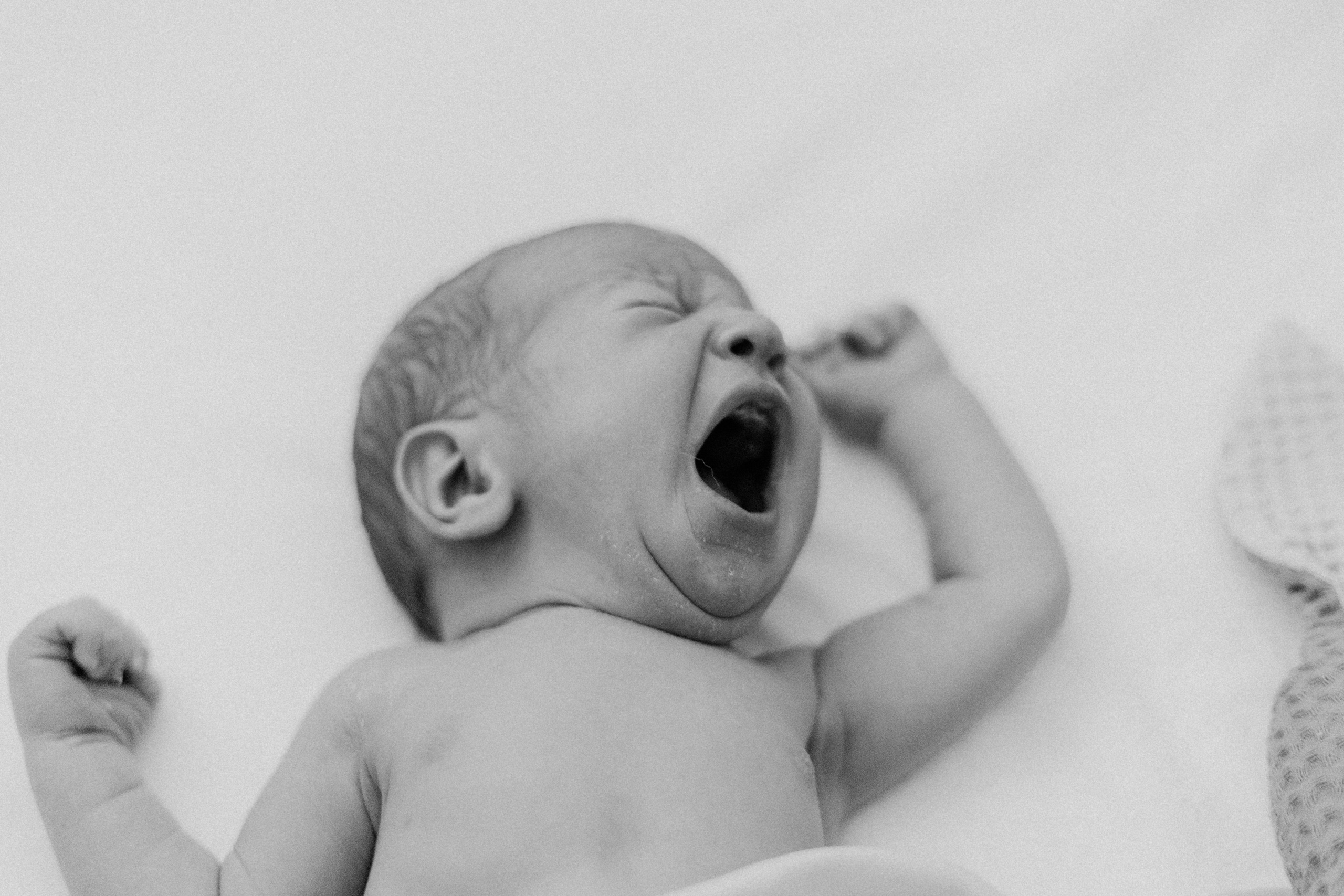 Мироша. Свадебный и семейный фотограф в Москве, Юлия Лазарева