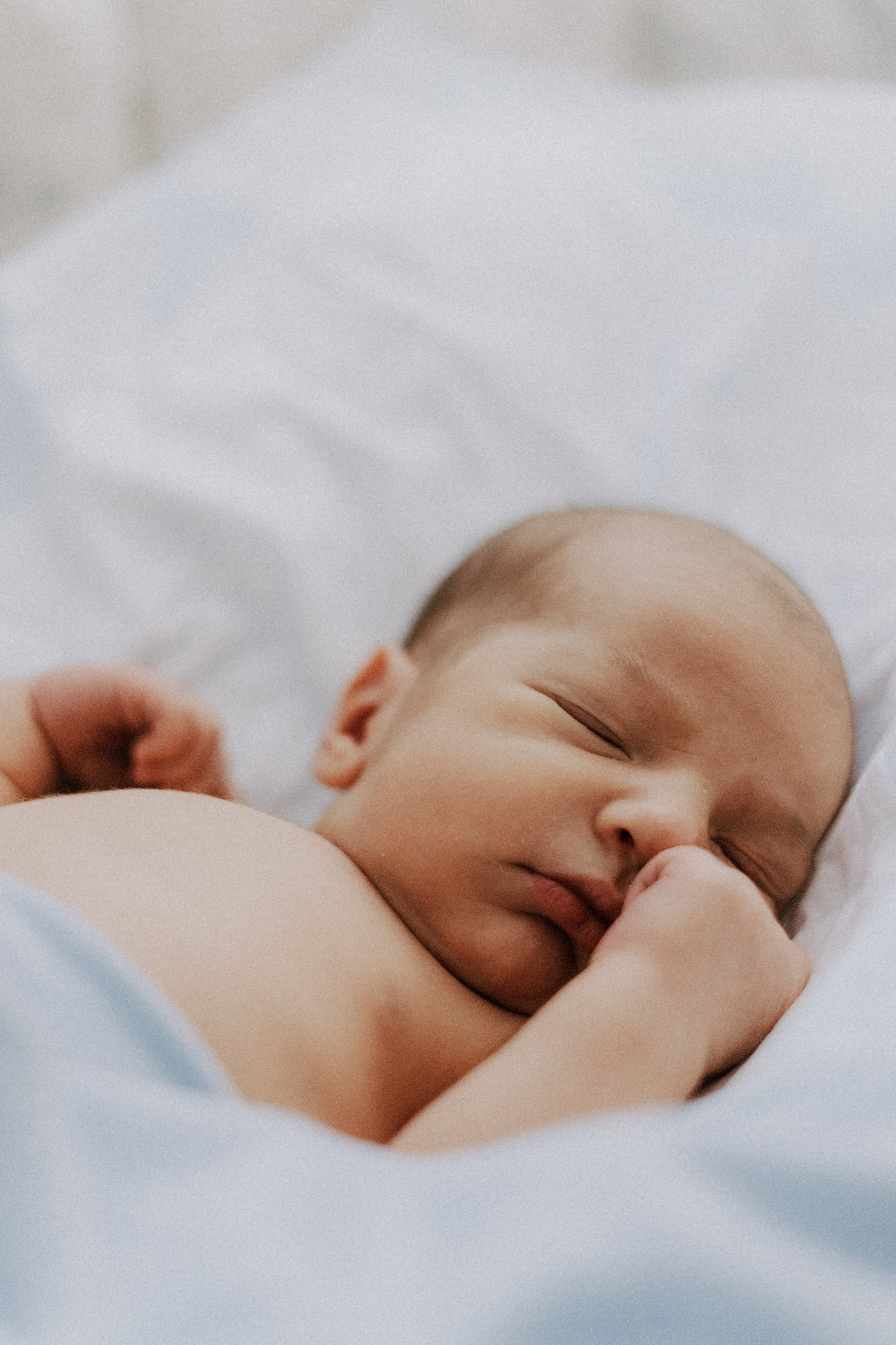 Мироша. Свадебный и семейный фотограф в Москве, Юлия Лазарева