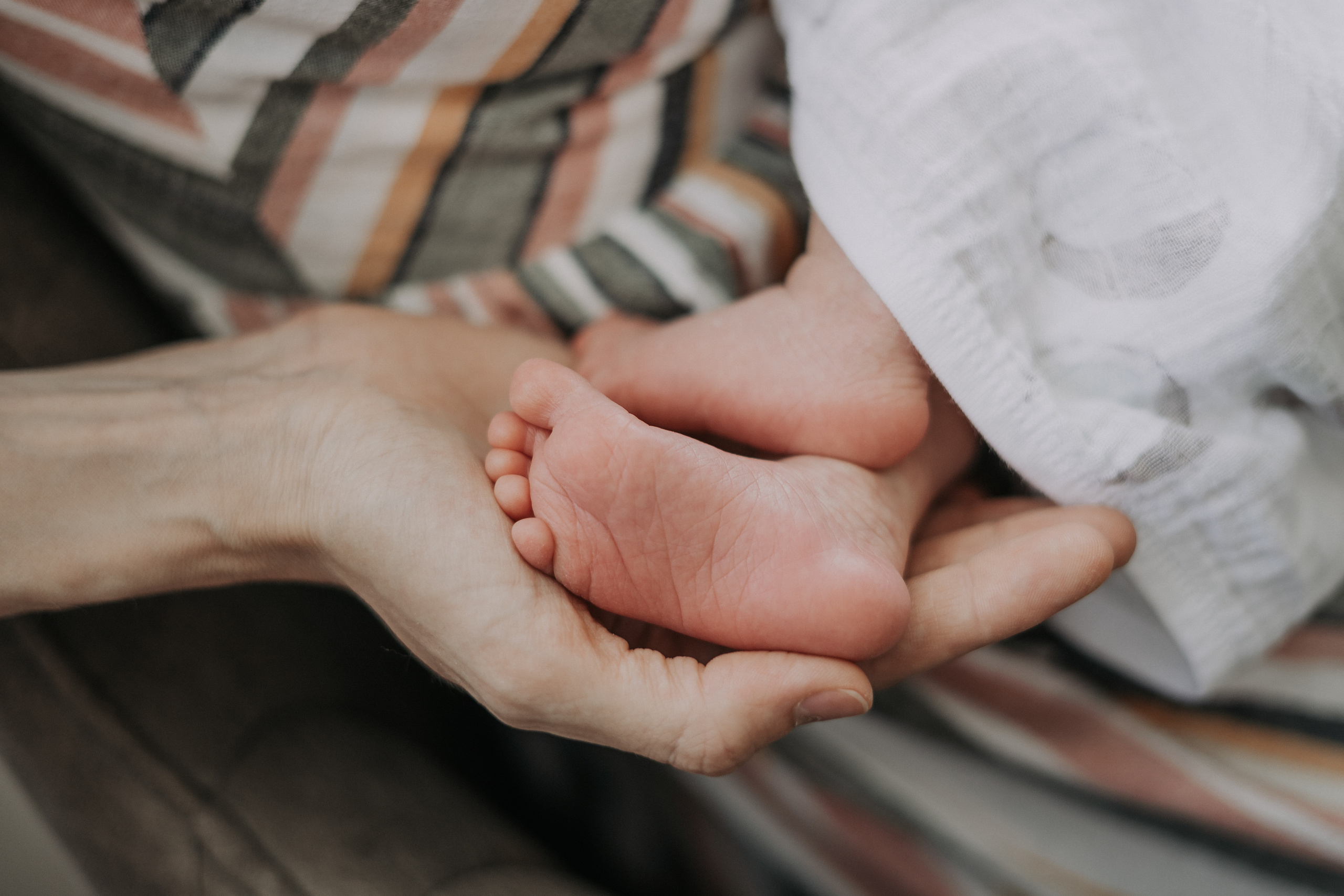 Аня и Миша. Свадебный и семейный фотограф в Москве, Юлия Лазарева