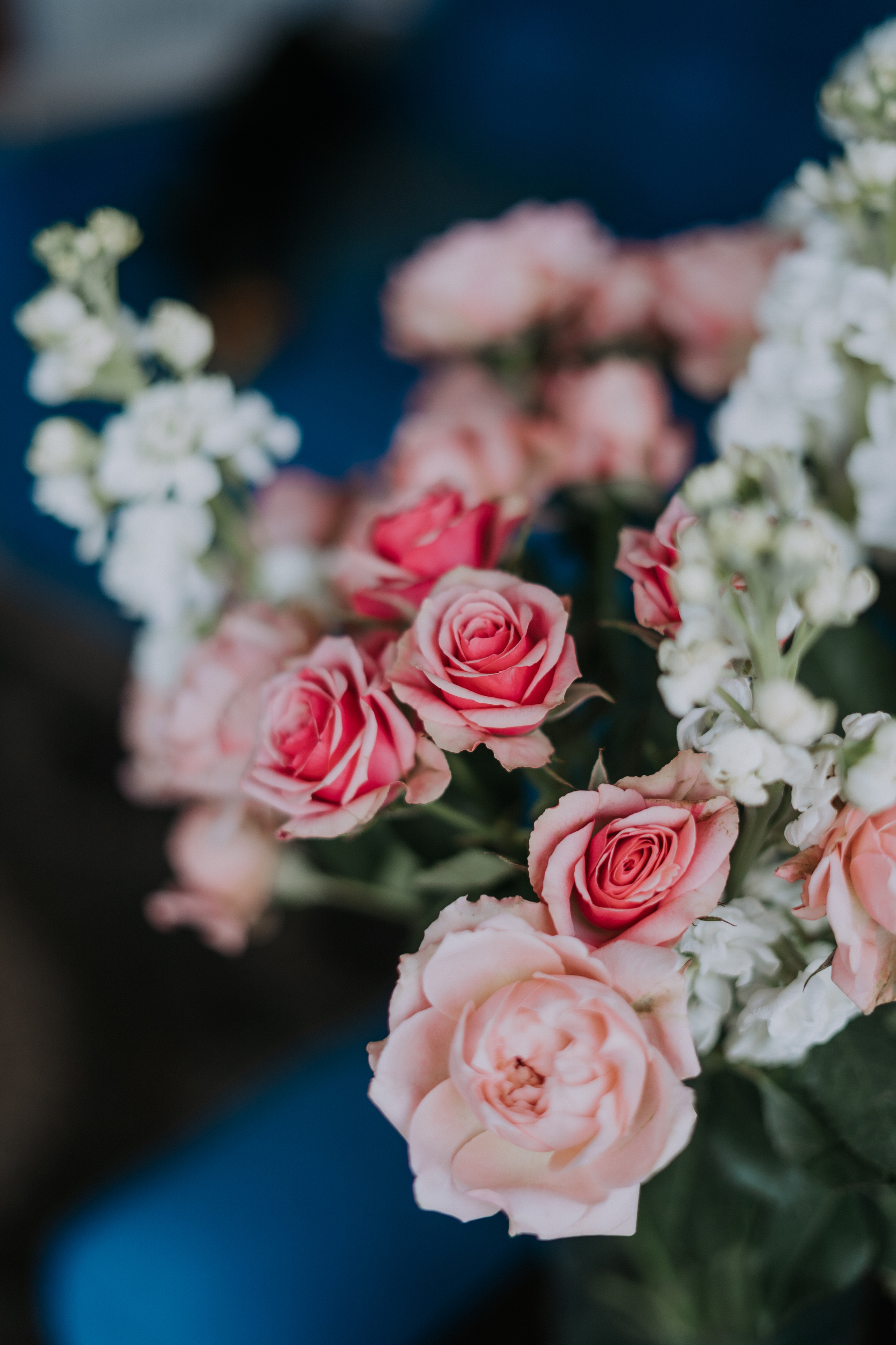 Анна. Свадебный и семейный фотограф в Москве, Юлия Лазарева