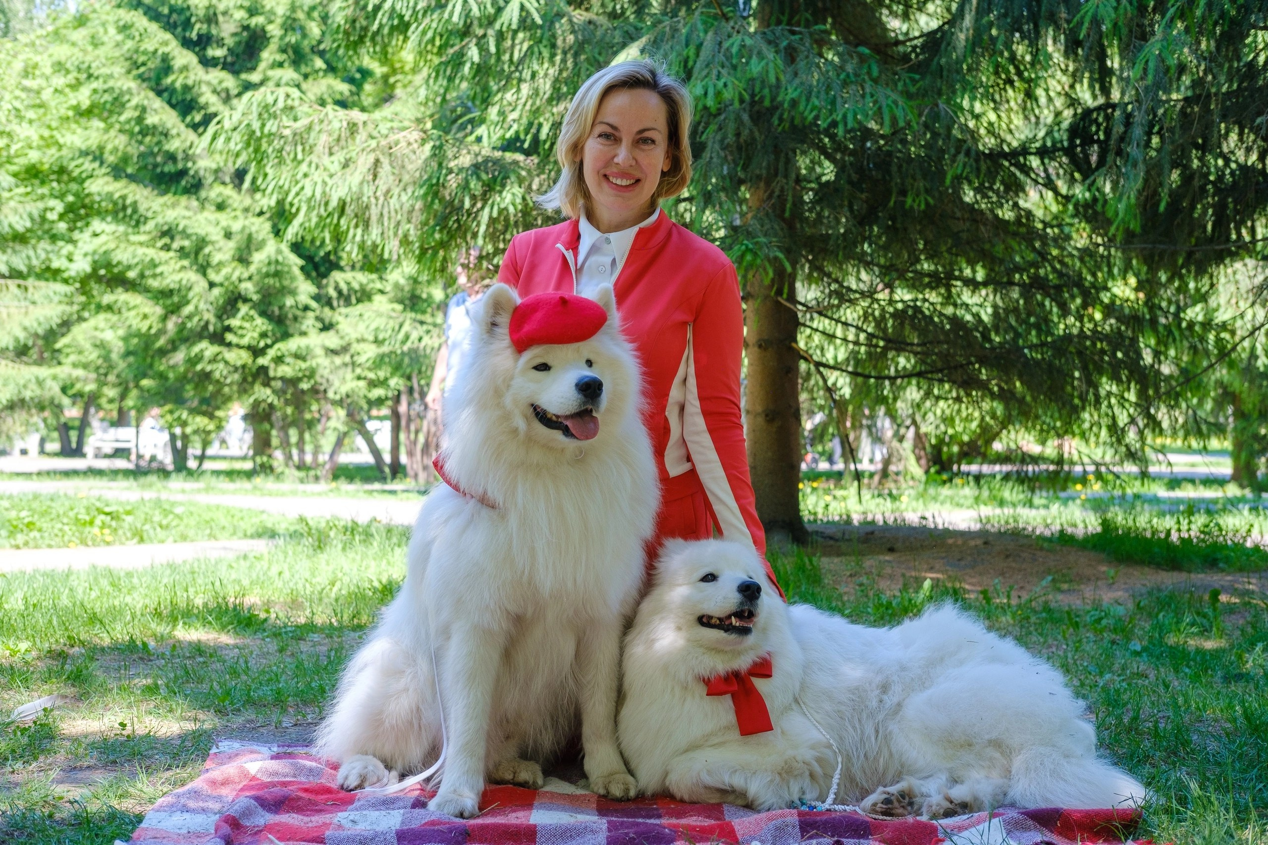 Благотворительная фотосессия. Самоед Новосибирск