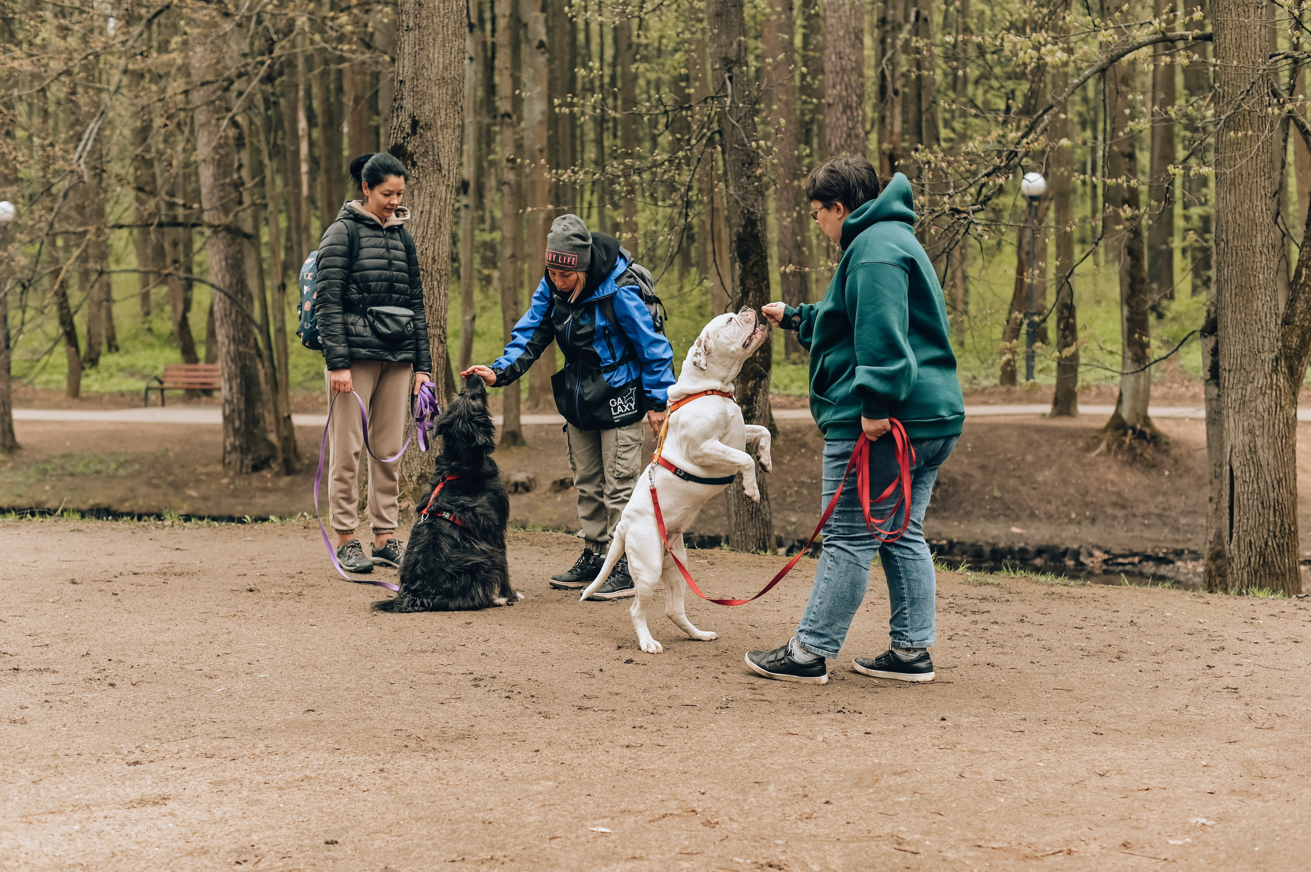 Занятие с кинологом. Семейный и репортажный фотограф в Москве Анастасия Трубкина