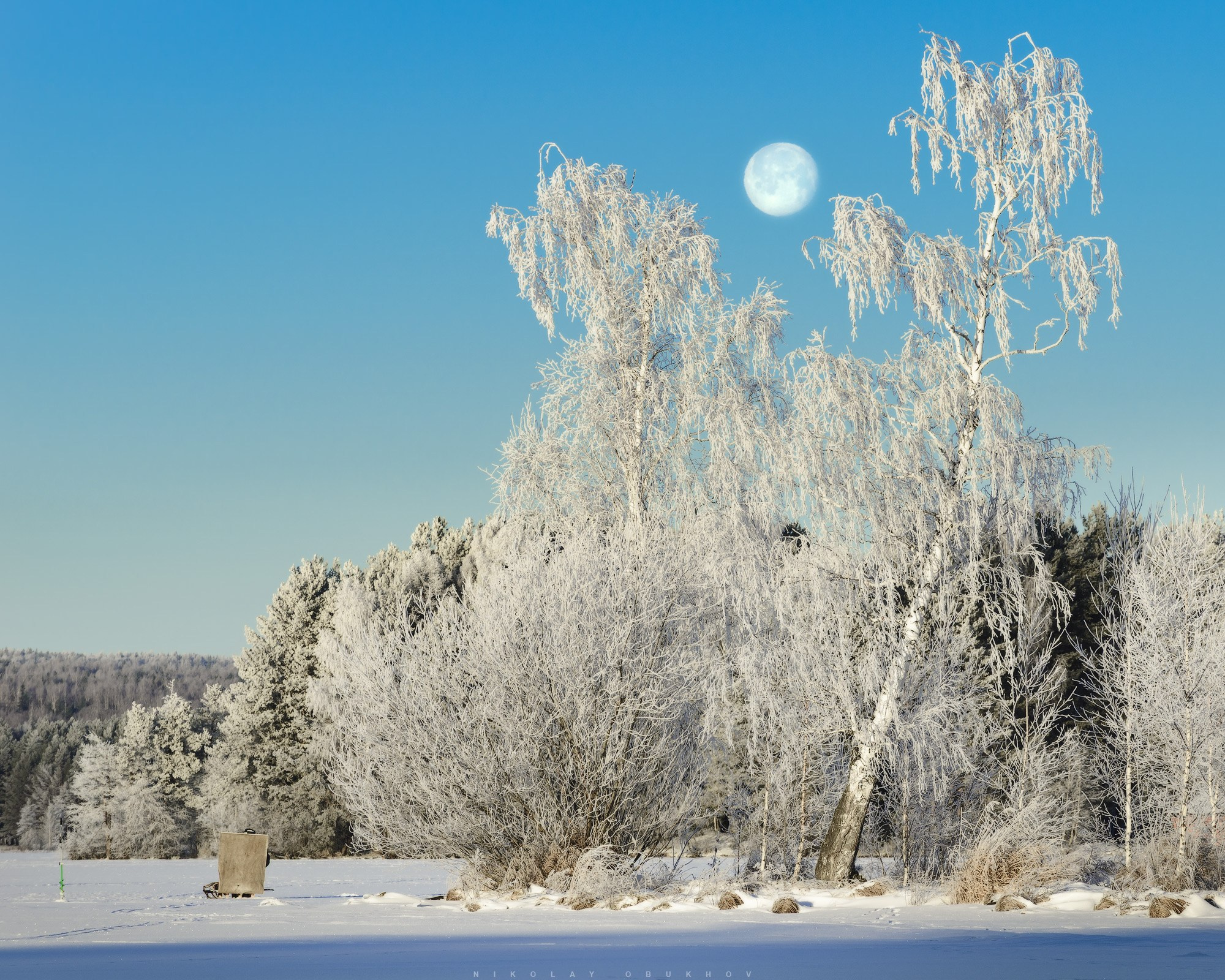 Покрытые инеем березы на фоне полной луны и одинокий рыбак.