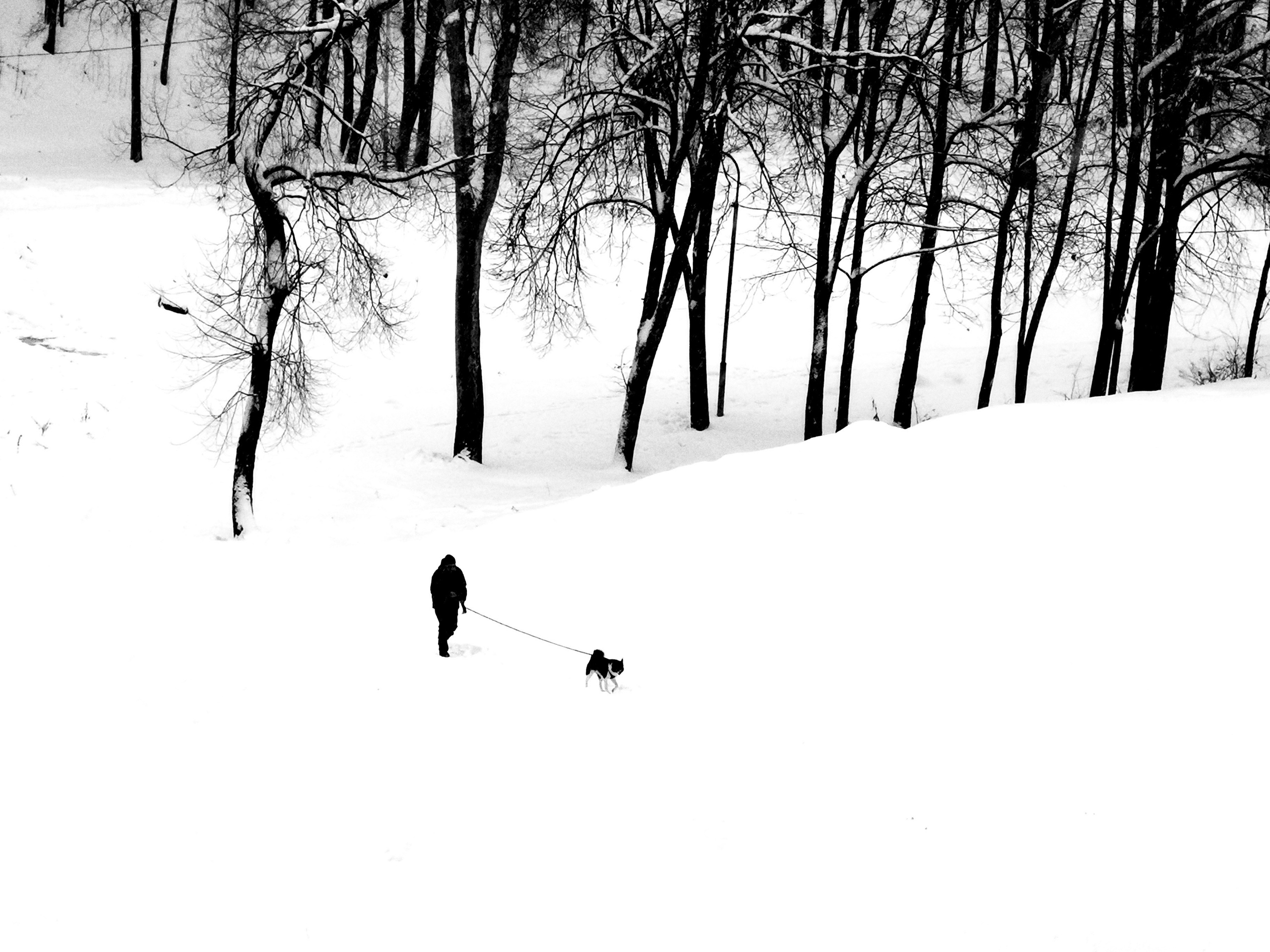 Витебск 2023. Фотограф Антон Швец — Монохромная реальность