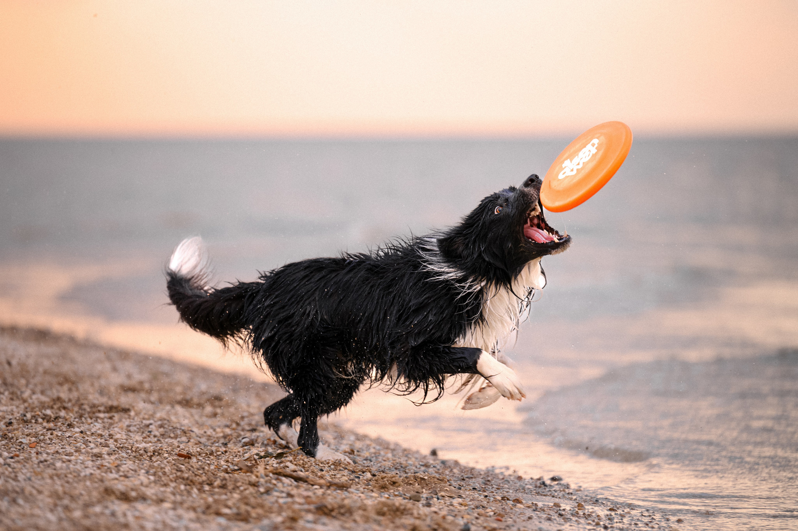 Фотограф в Ростове —на — Дону