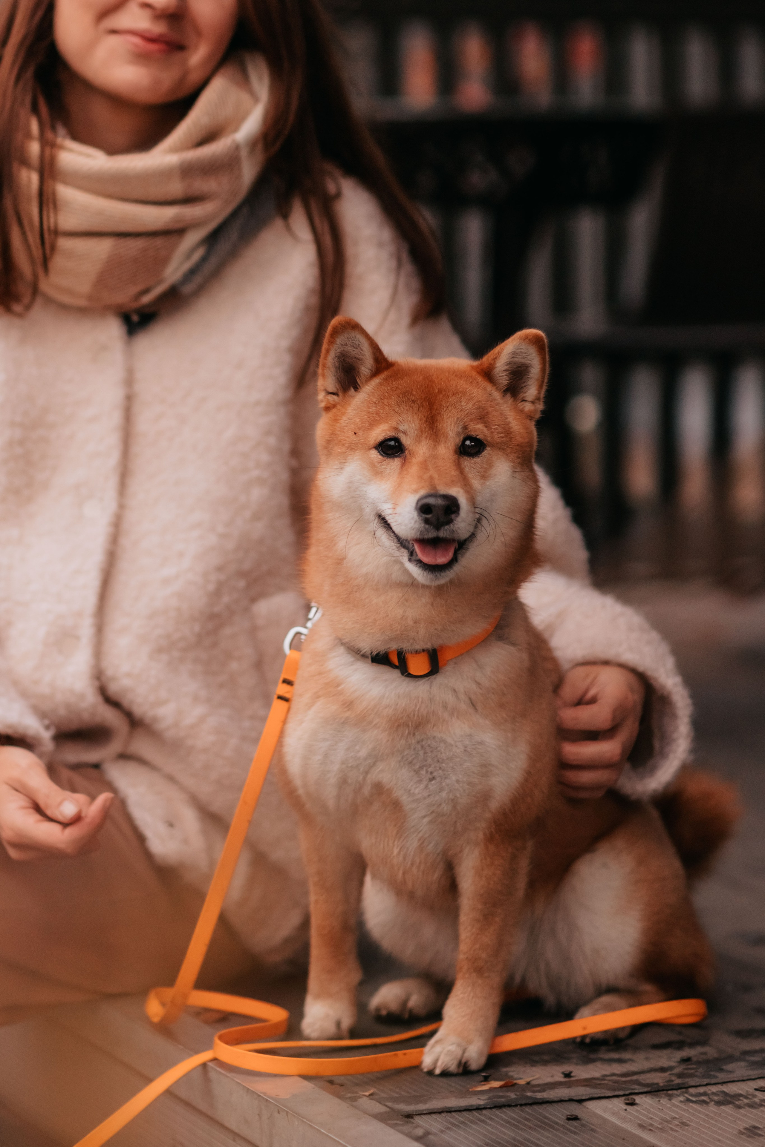 Анна и Айма в осеннем лесу. Семейный фотограф анималист Мария Крючкова