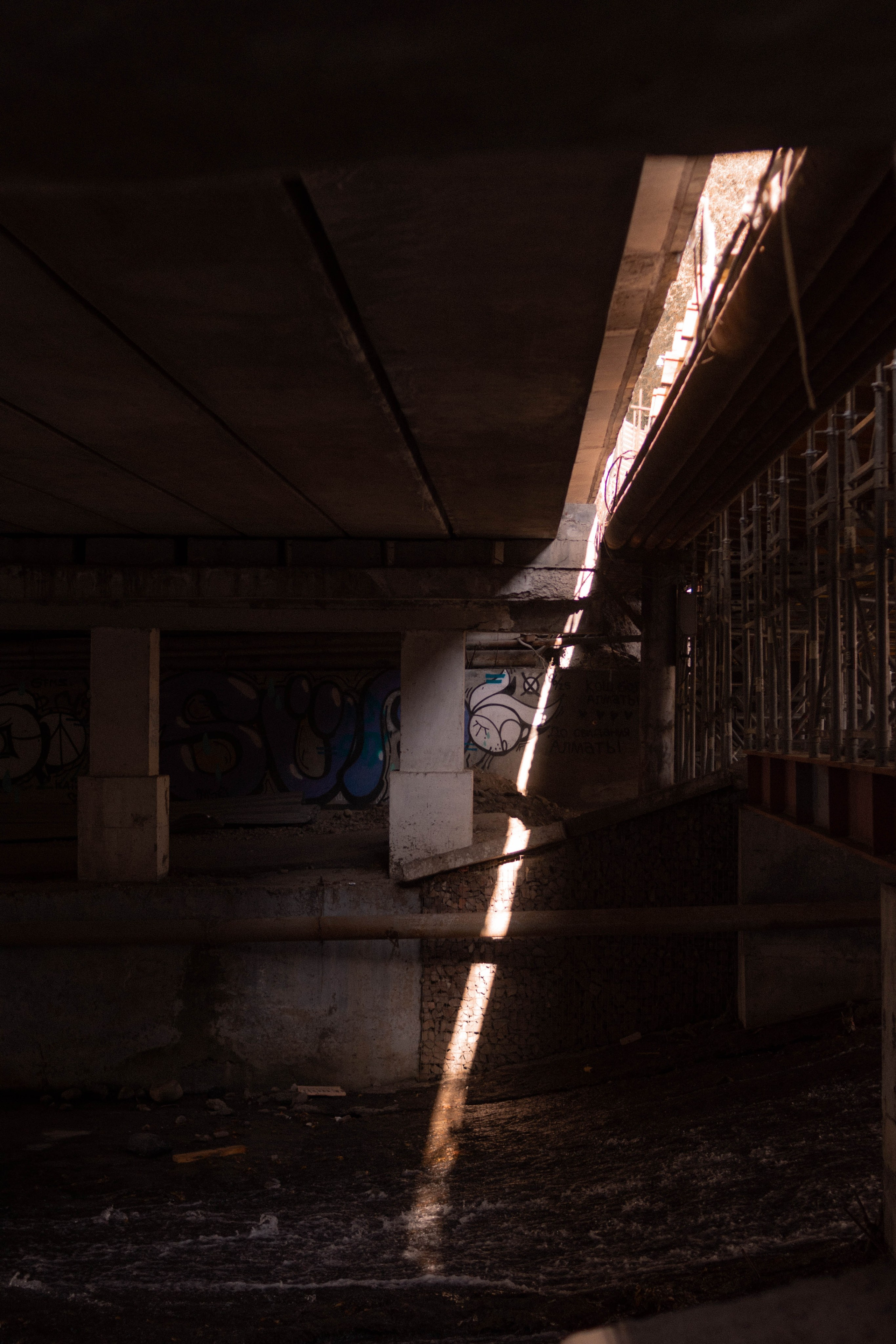 Визуальный дневник. Репортажный фотограф в Алматы Цой Сергей