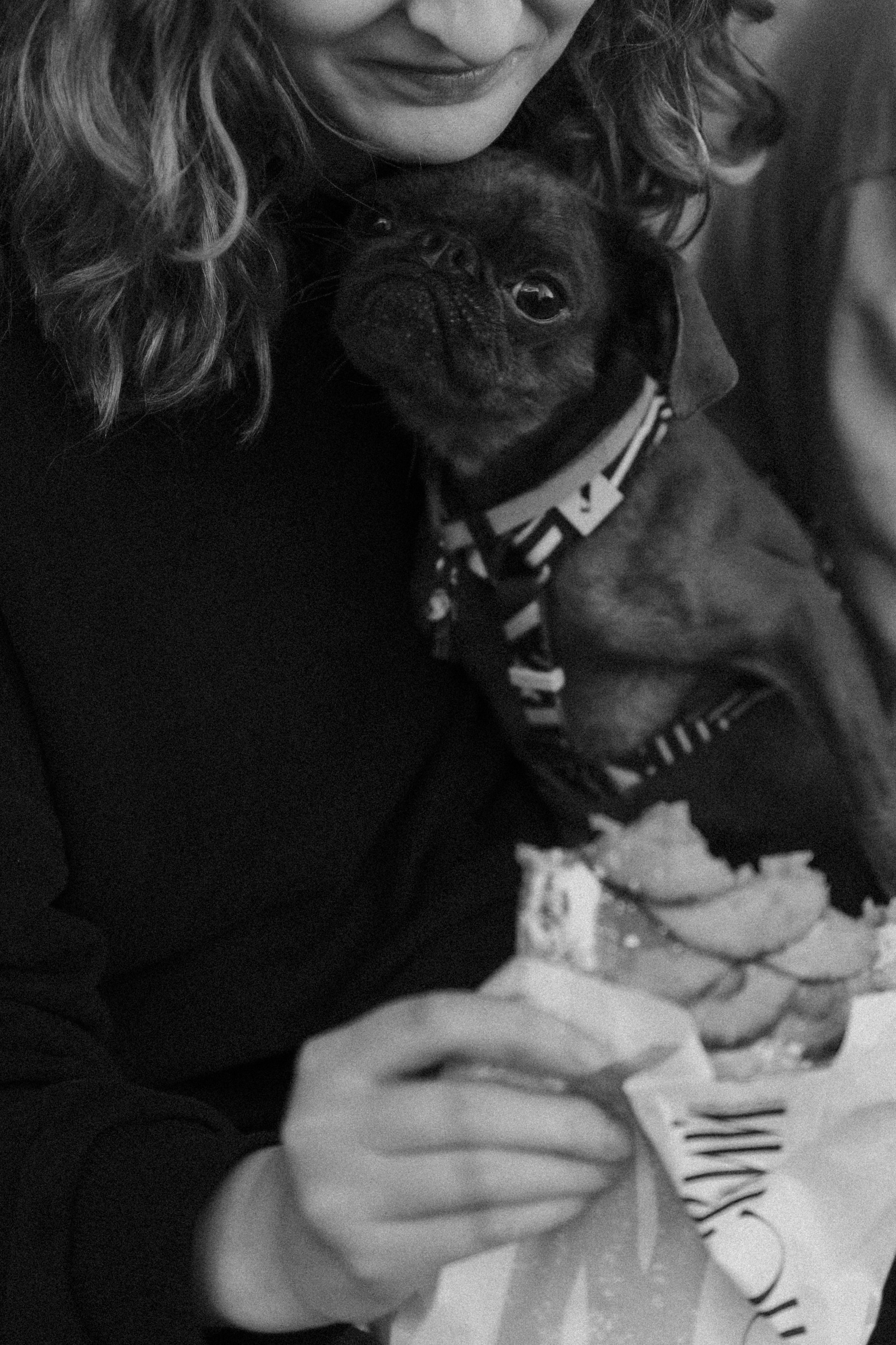 Грогу и его семья. Фотораф — анималист Мария Шистка