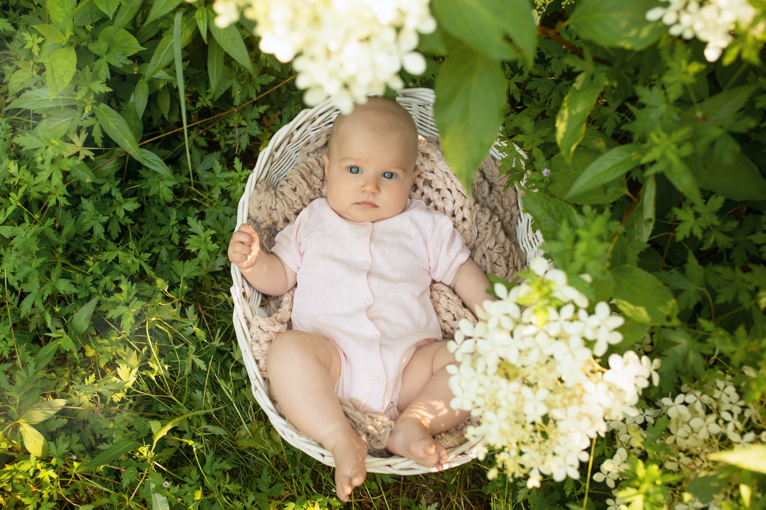 Детки до года. Фотограф новорожденных и беременности в Хабаровске Варвара Титаева
