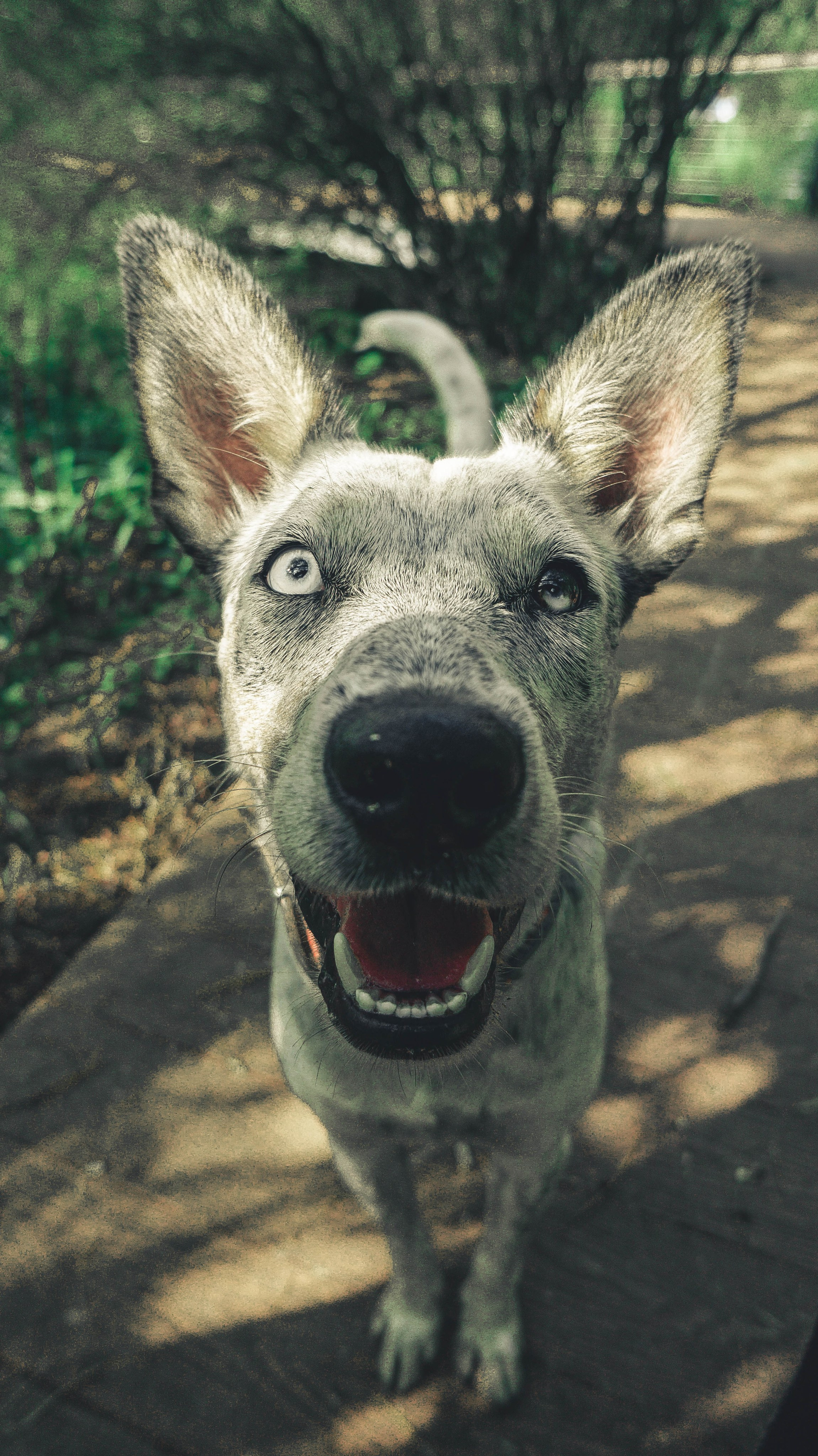 Цунами. Профессиональный фотограф