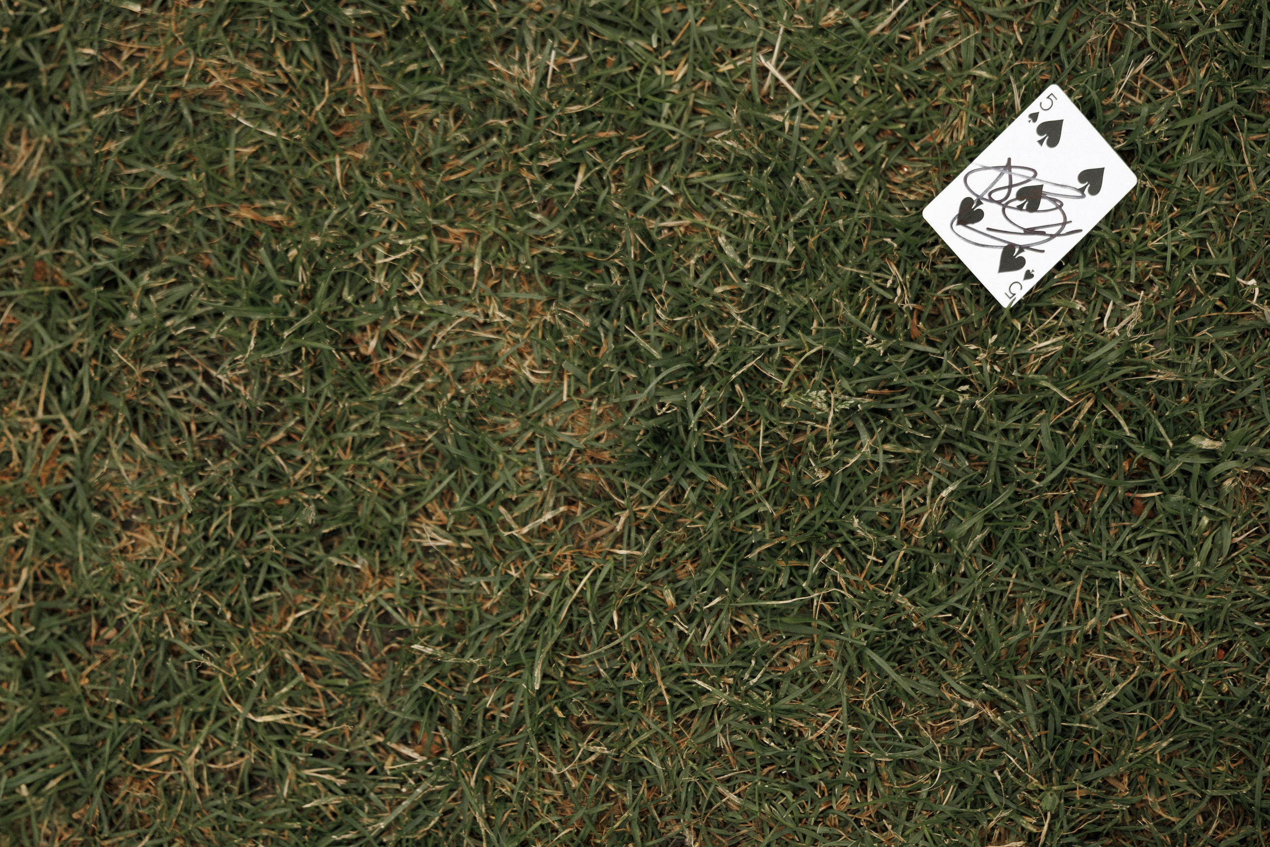 КОРПОРАТИВ DR.HUG. Свадебный и event-фотограф Иван Волнухин