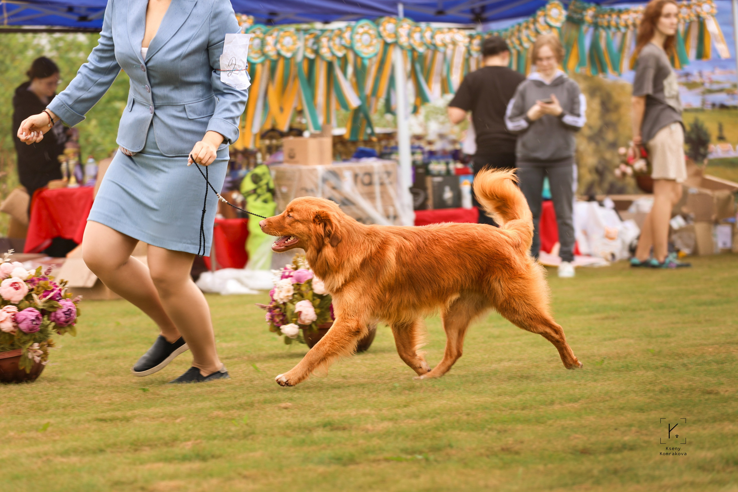 Анималистика. Репортаж. Индивидуальная съемка