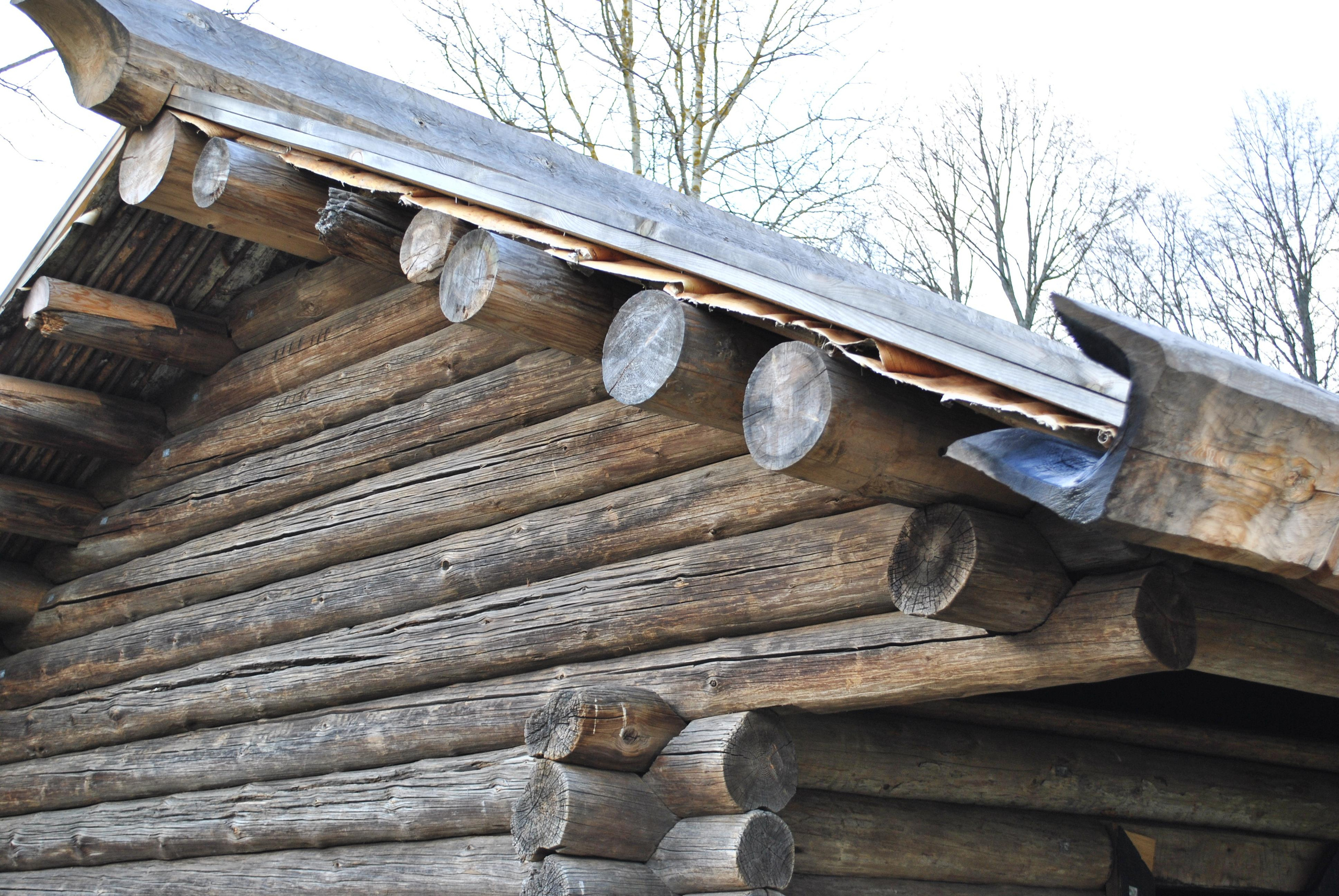 Житник (амбар). Новое Старое — русское деревянное зодчество