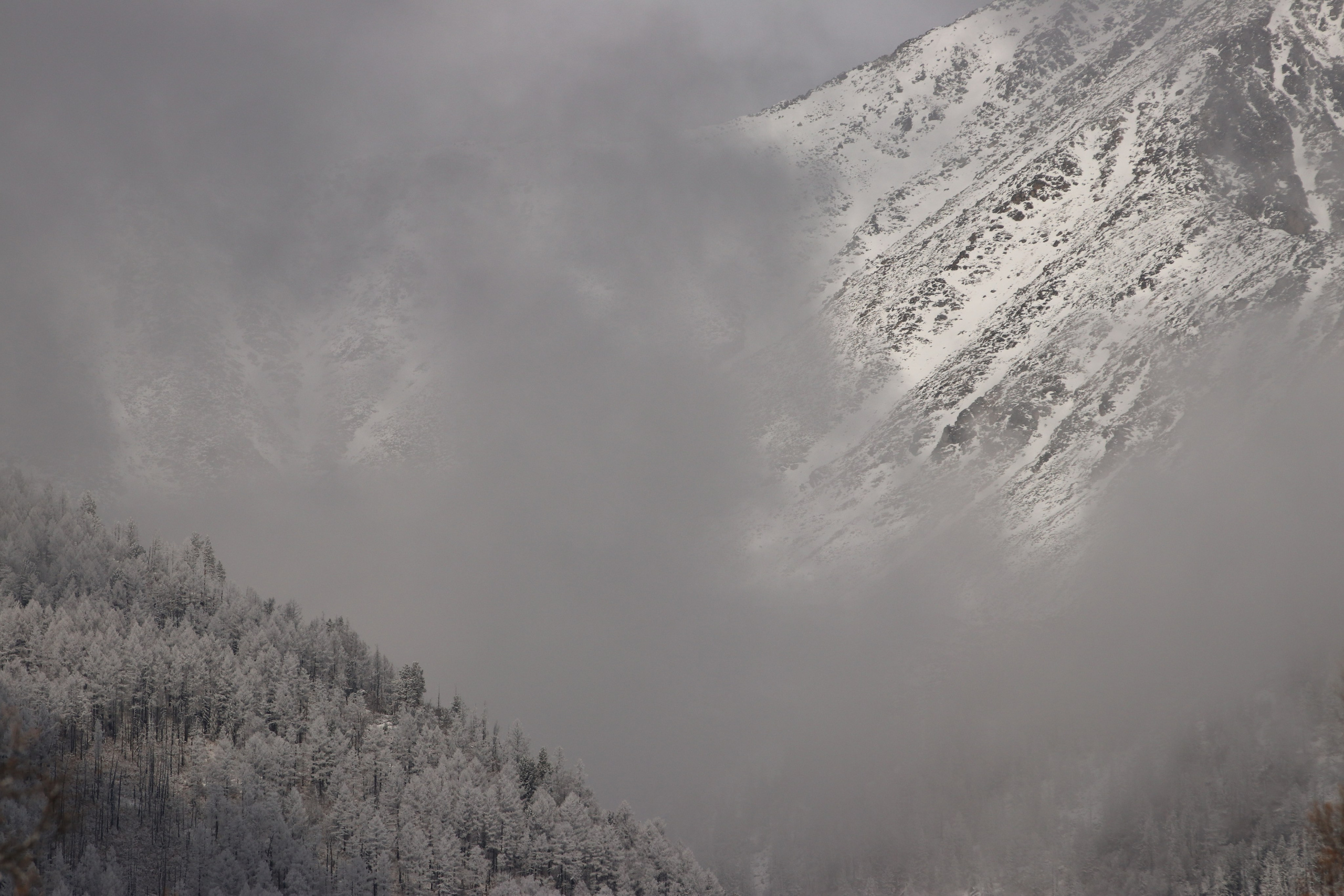 Аршан. Март 2023. Путешественник-фотограф из Санкт-Петербурга Татьяна Свистулина