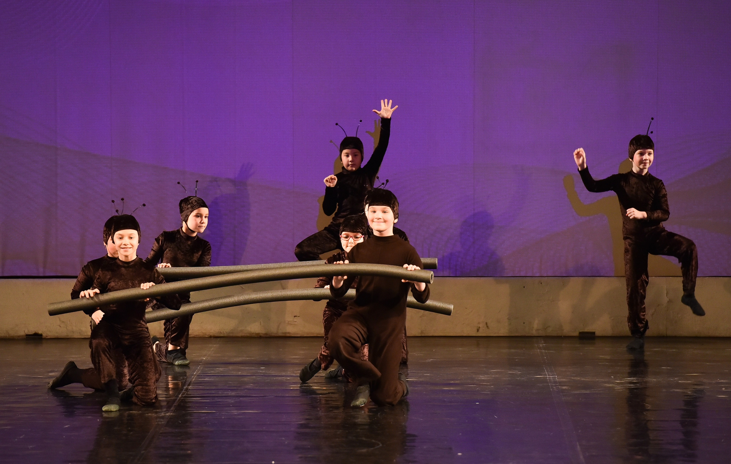 01.12.2024 Фестиваль хореографического искусства «АРТ-КОМПАС. СЕВЕРО-ЗАПАД» г. Спб. Медиастудия Фото Концепт