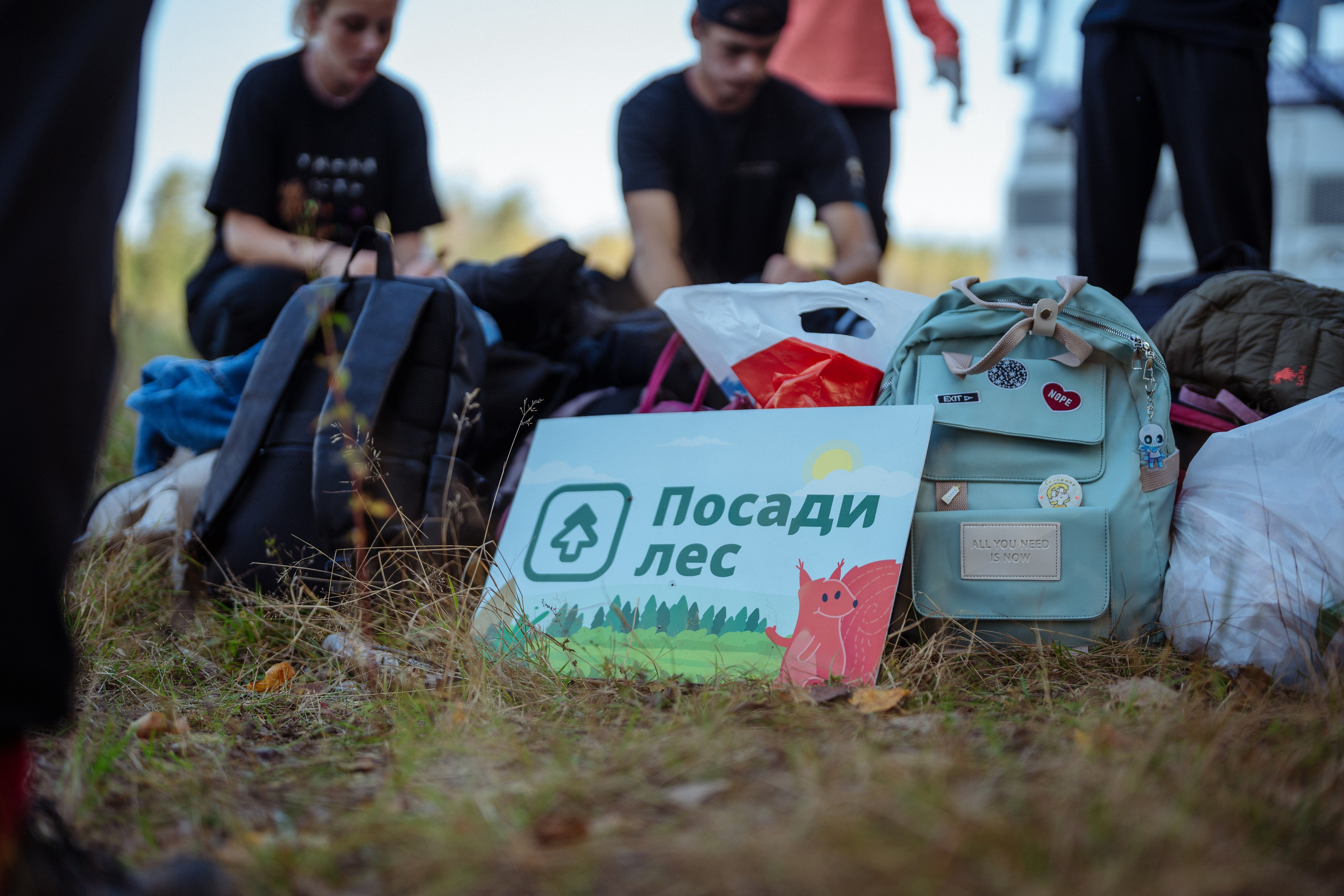 СБЕР · ЭКА · Посадка сеянцев. Владимир Вершинин, тот самый свадебный видеограф