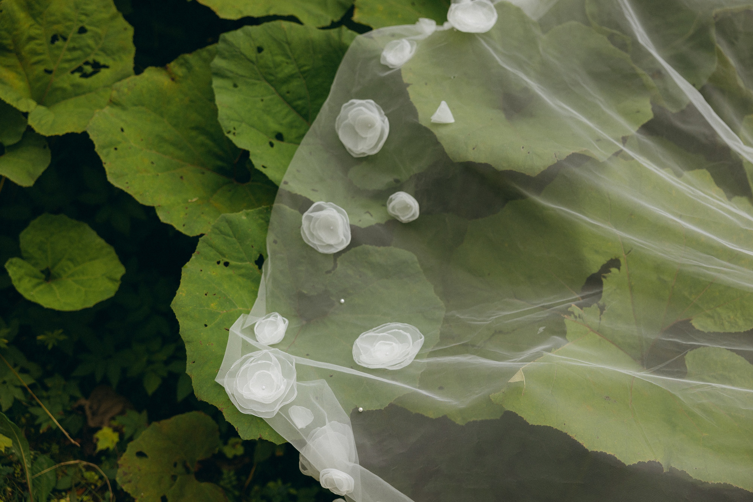 Напоминая о твоих поцелуях. Свадебный фотограф Таня Караисаева