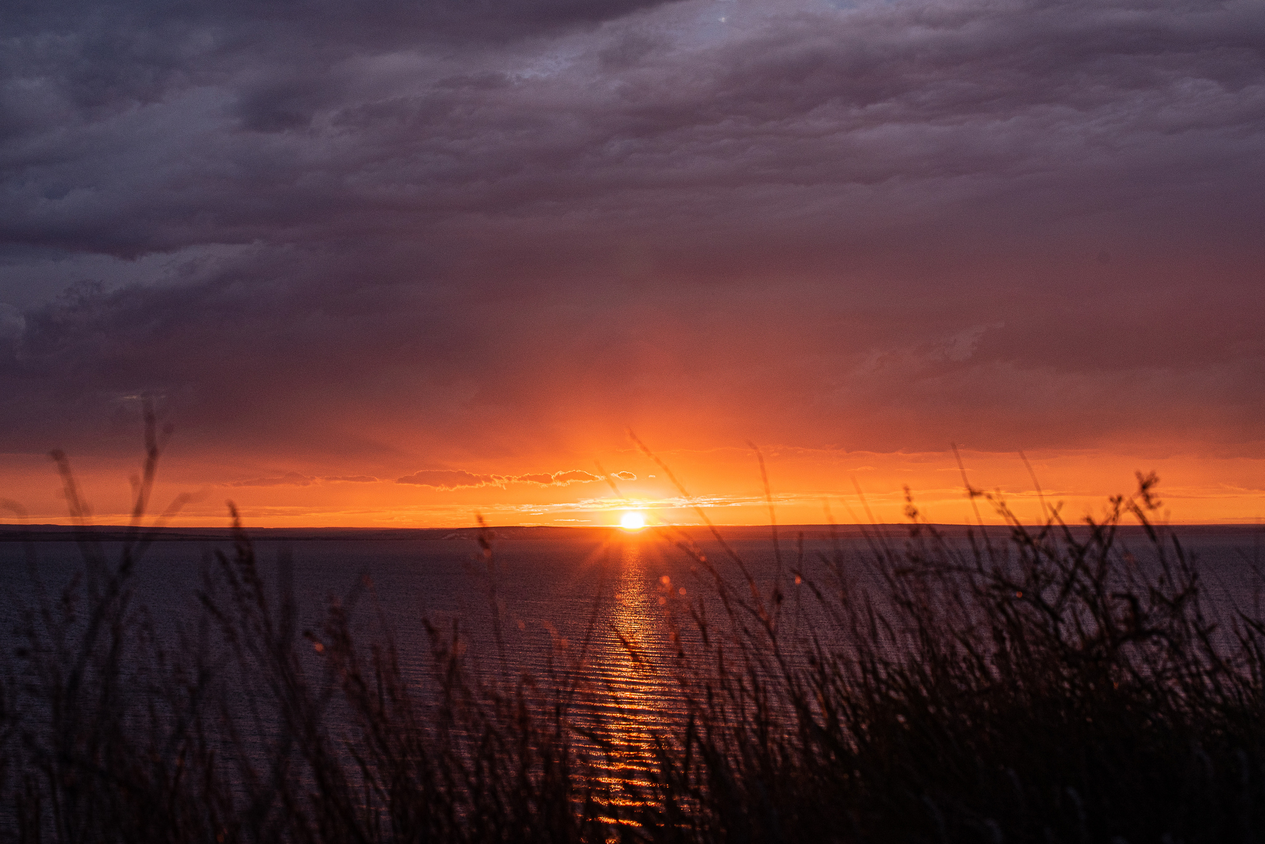 Летний вечер. Семейный lifestyle фотограф в Самаре Ольга @saflorra.ph