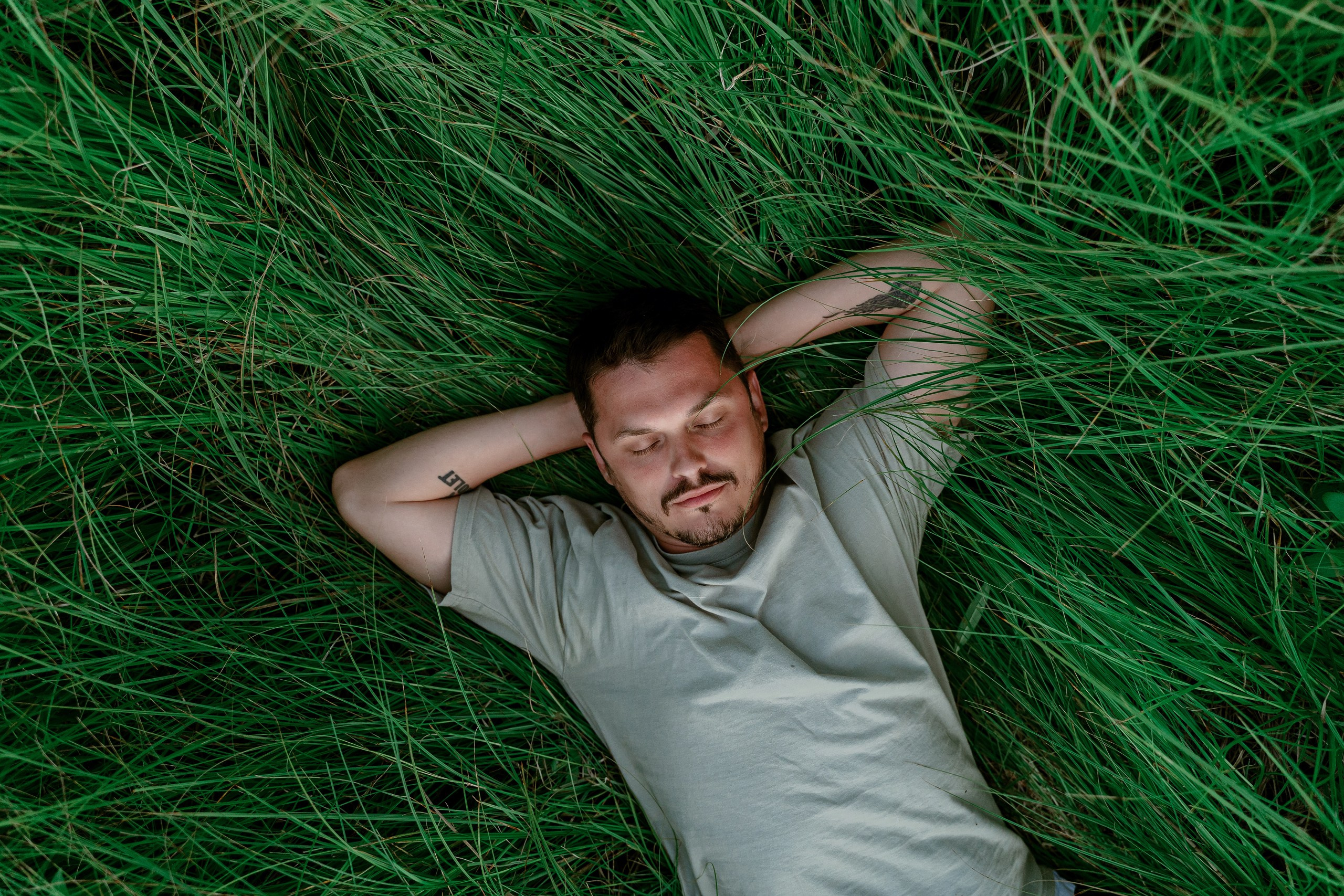 Макс (Самолёт). в поле