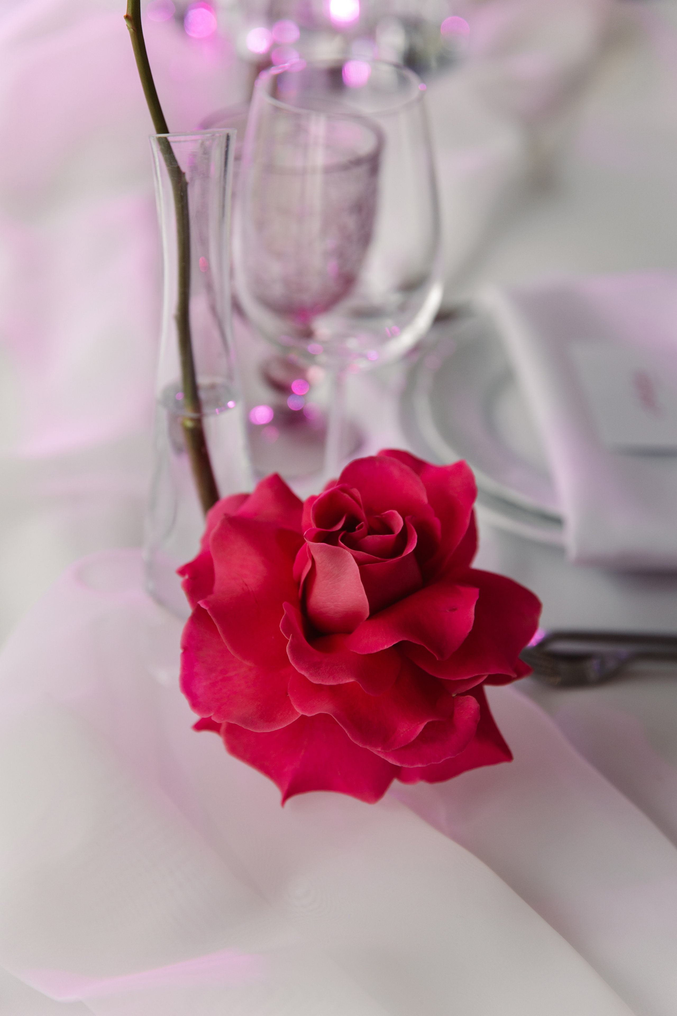 Александр и Мишель