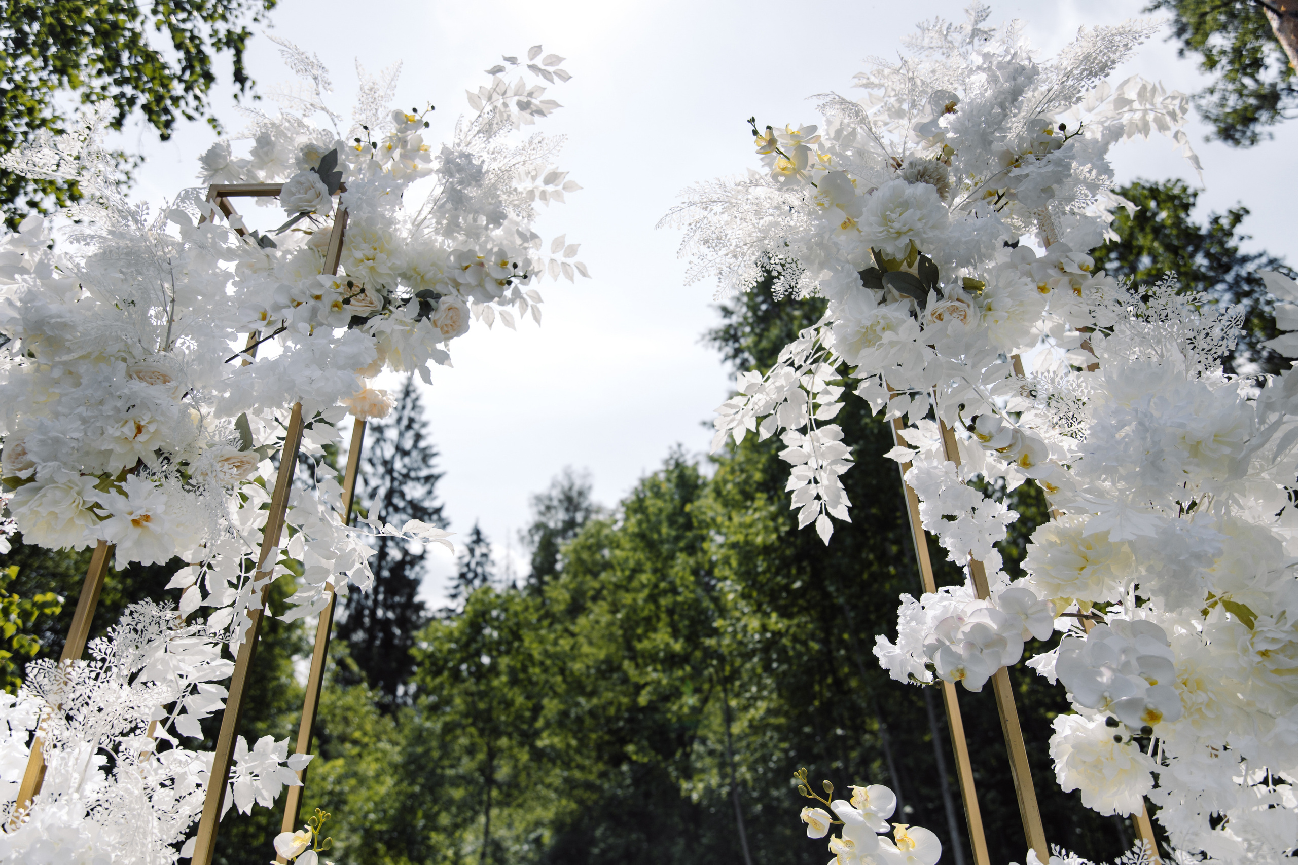 Александр и Мишель