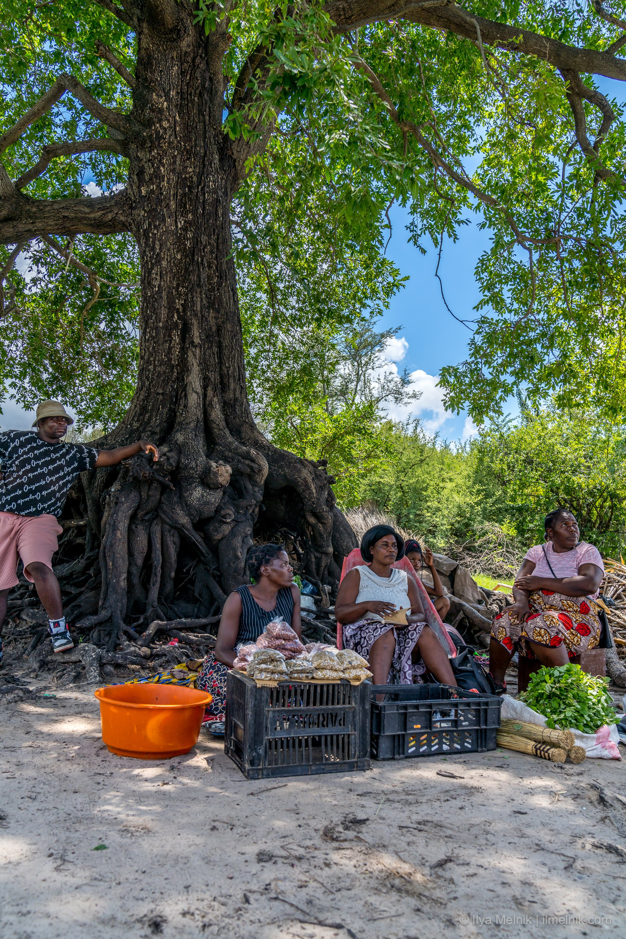 Botswana. Ilya Melnik Photography