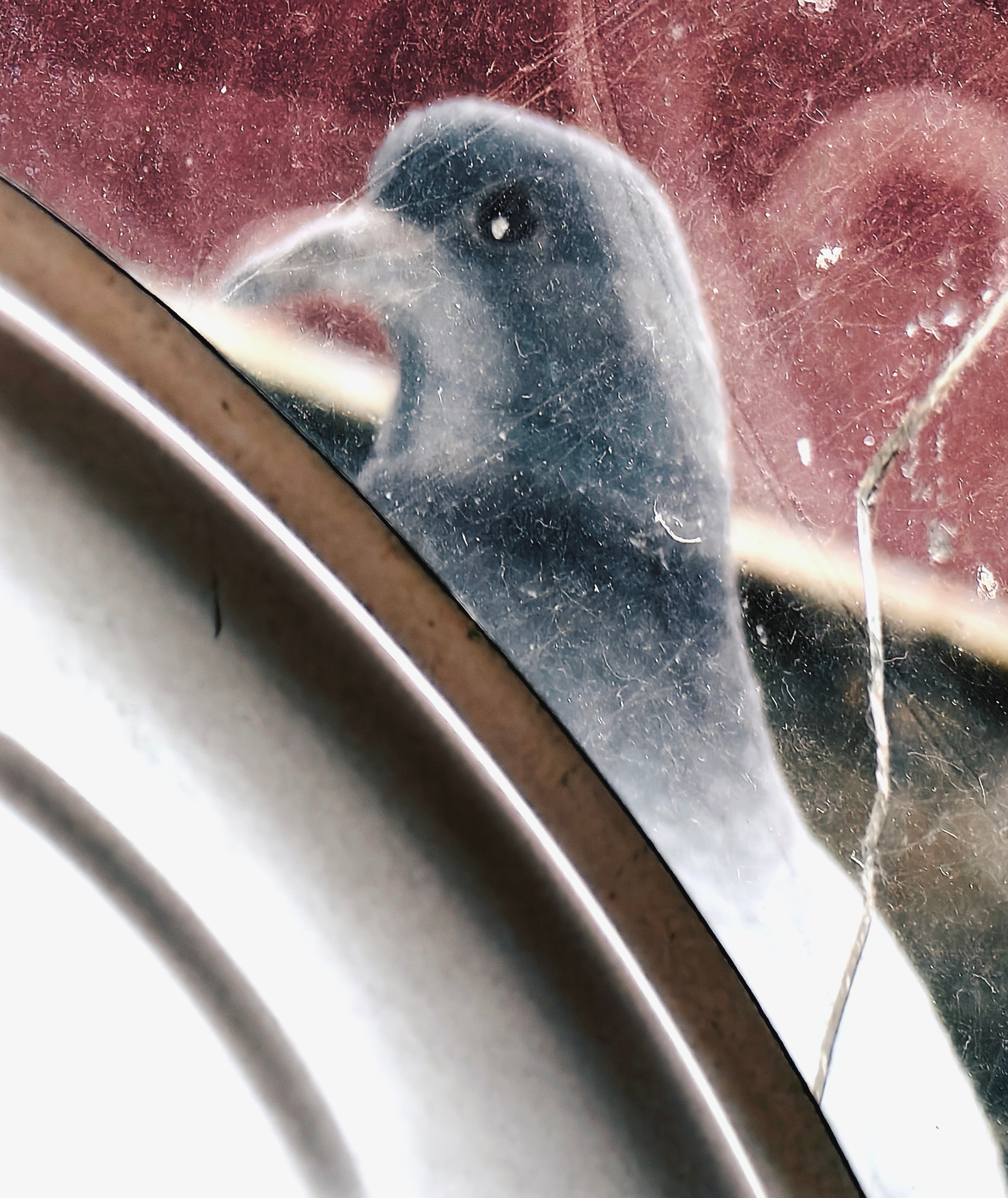 Уличная съемка. Фотограф и оператор Илья Гунбин