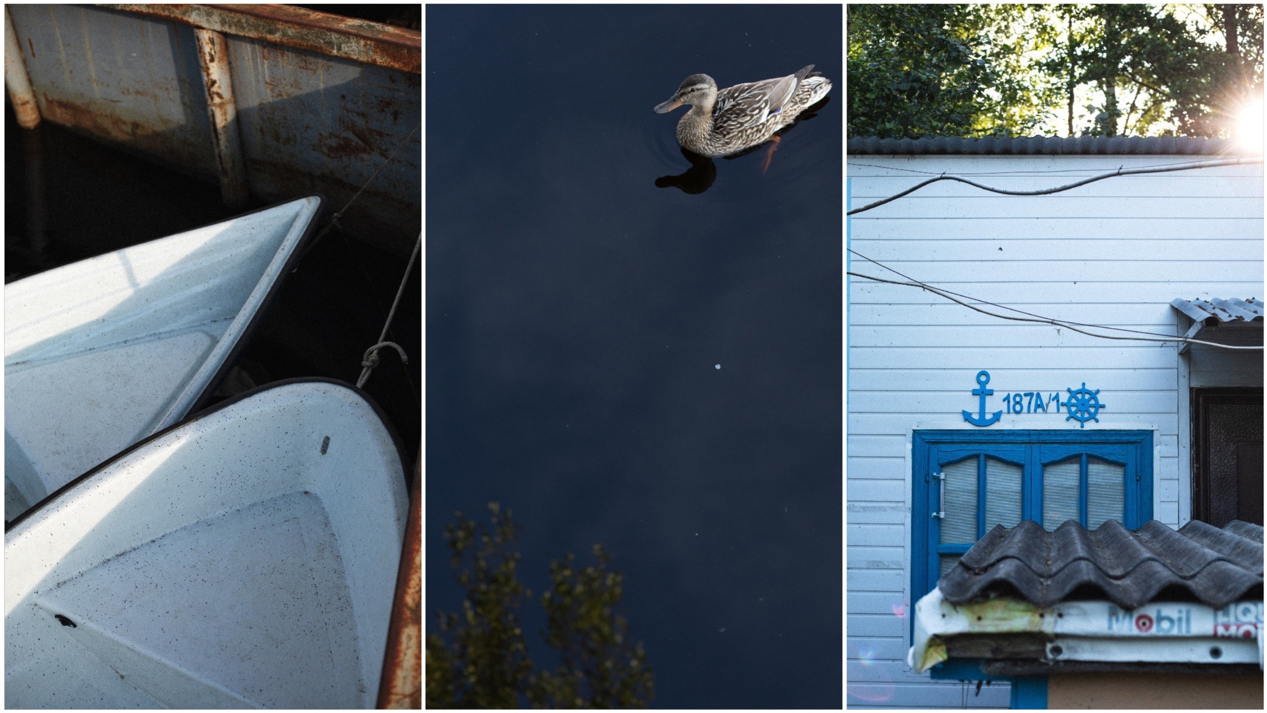 Фотограф Красногорск — Москва|Сёма Юдин