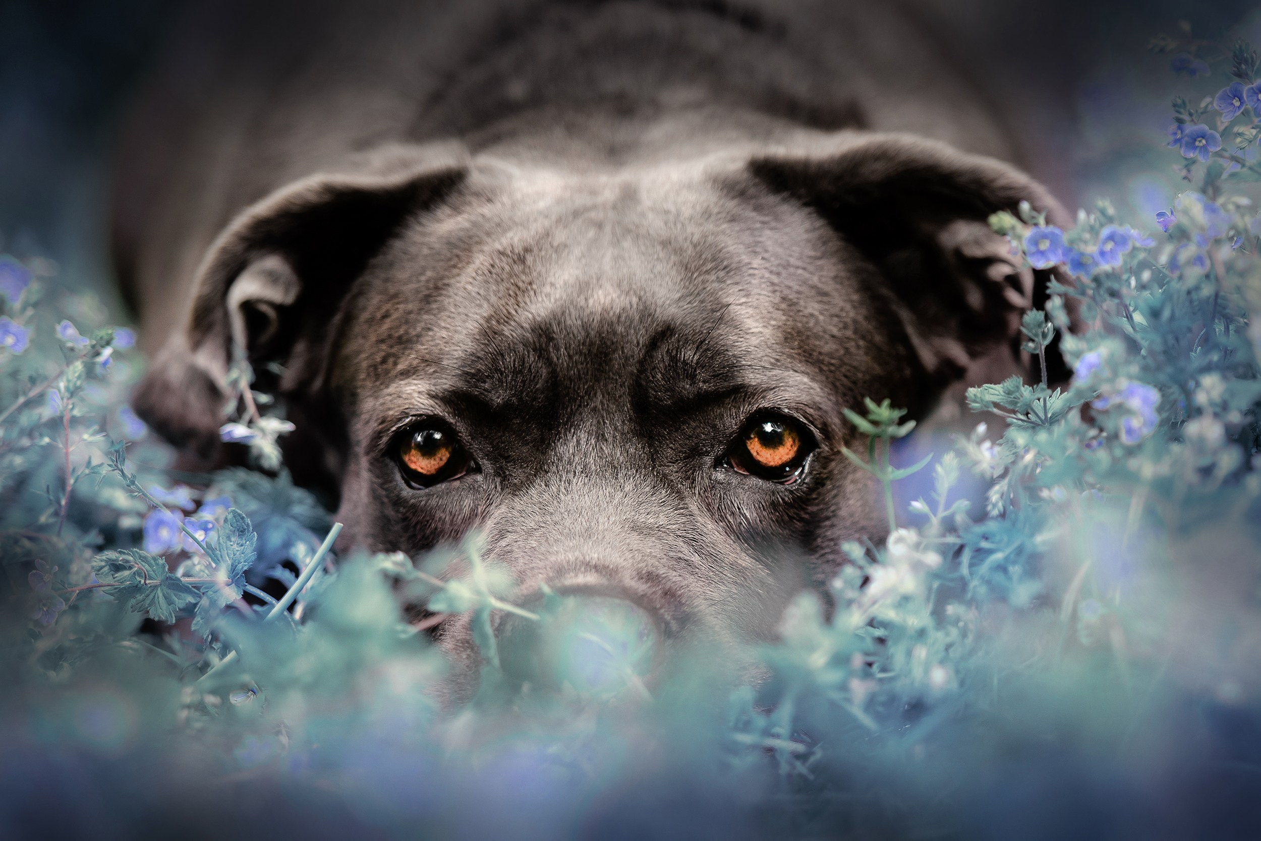 Кристина и Тея. Семейный Фотограф в Москве Ирина Хохлова