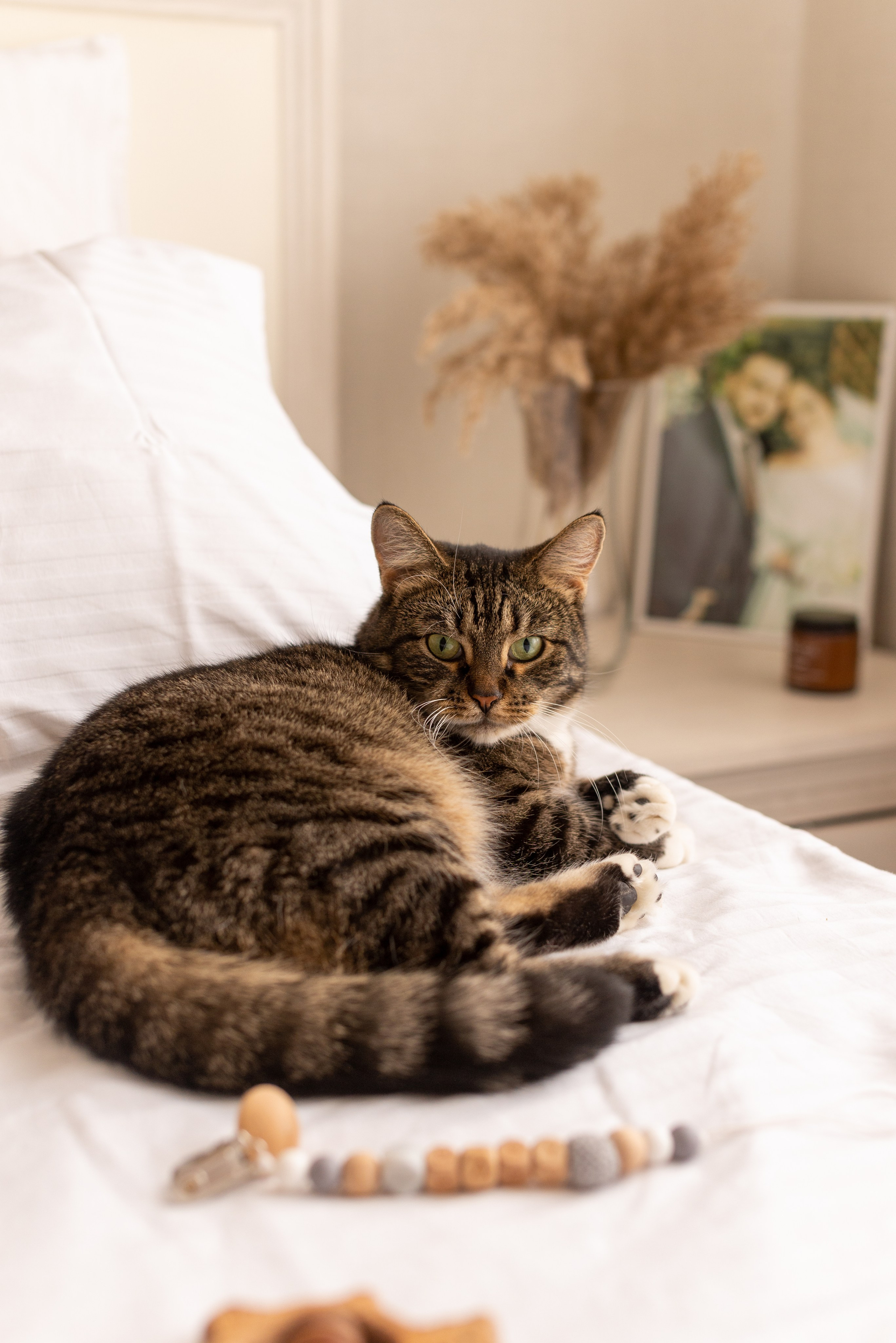 Nastya, Vanya & Pavlik. Семейный, Свадебный фотограф СПБ Питер— Романова Екатерина