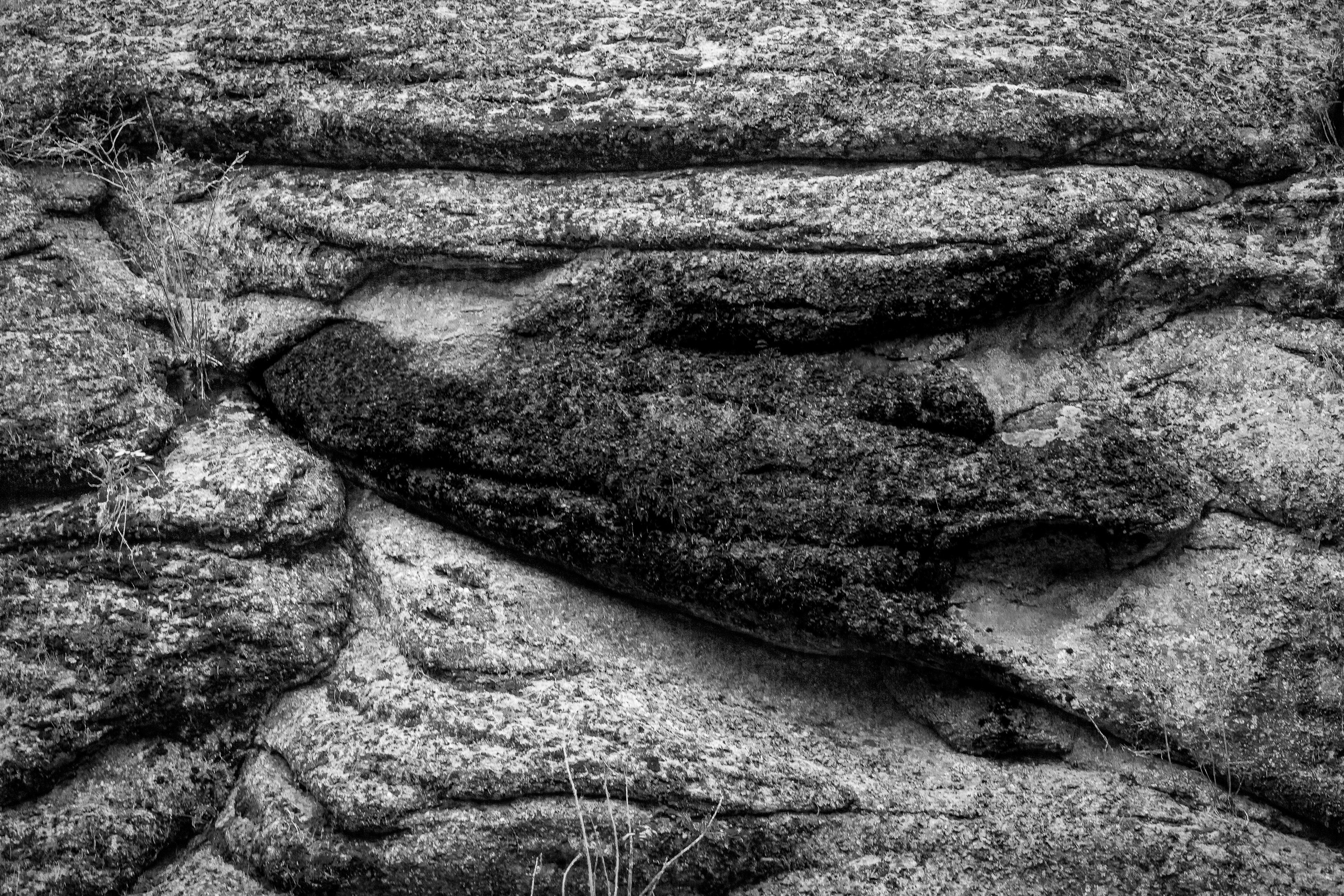 Серия «Горные обитатели». Фотограф в Москве Татьяна Макотра