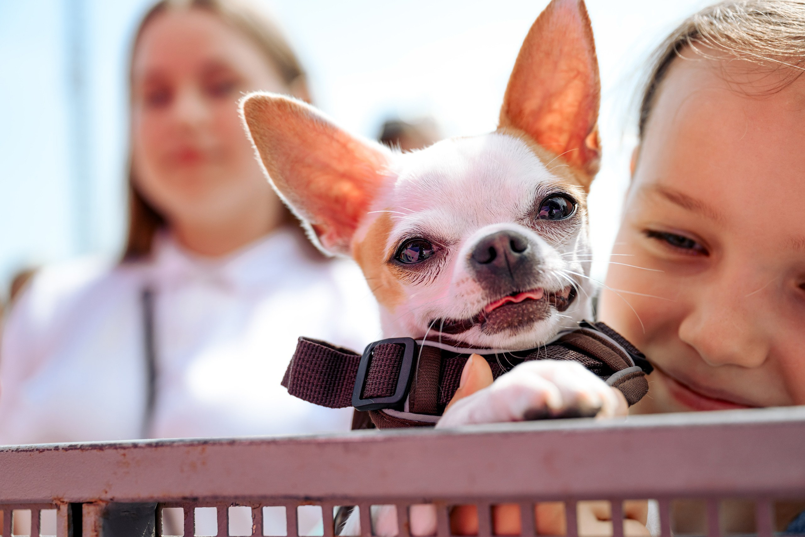 БЛОГЕРЫ РОССИИ. Максим Комаров — Профессиональный фотограф
