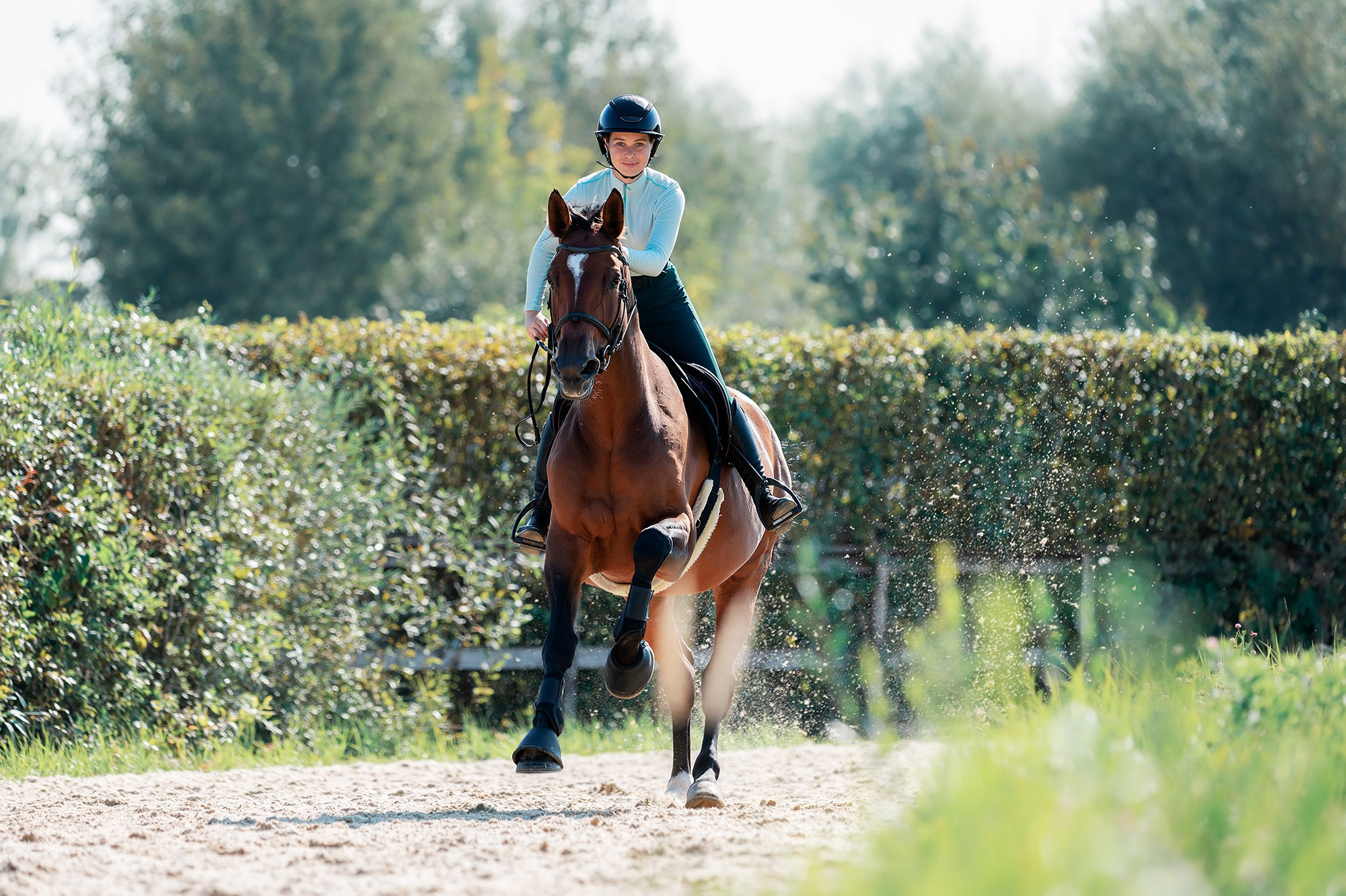 Тренировки. Конный фотограф Alesya Safe