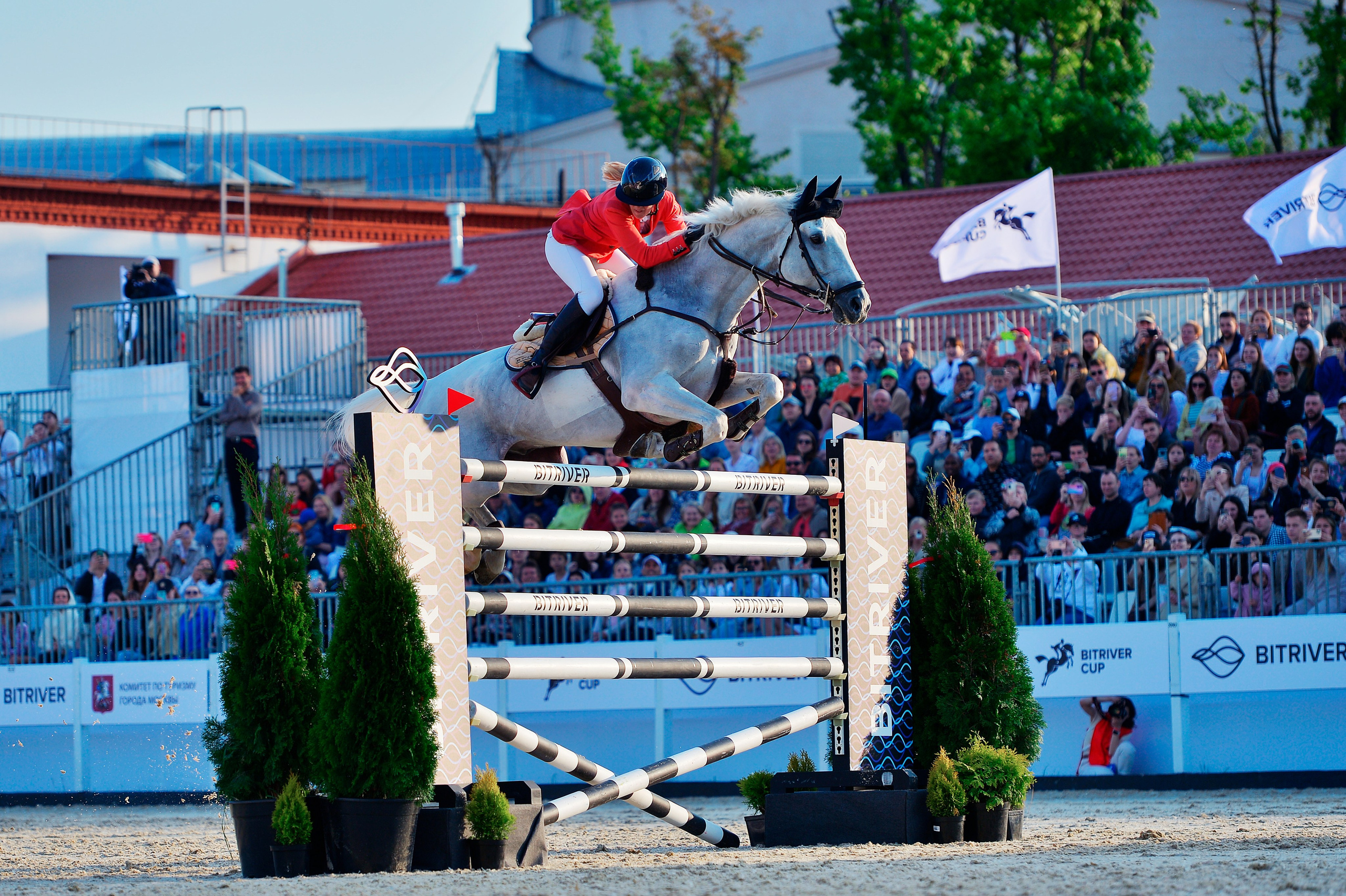 Репортаж Bitriver. Конный фотограф Alesya Safe