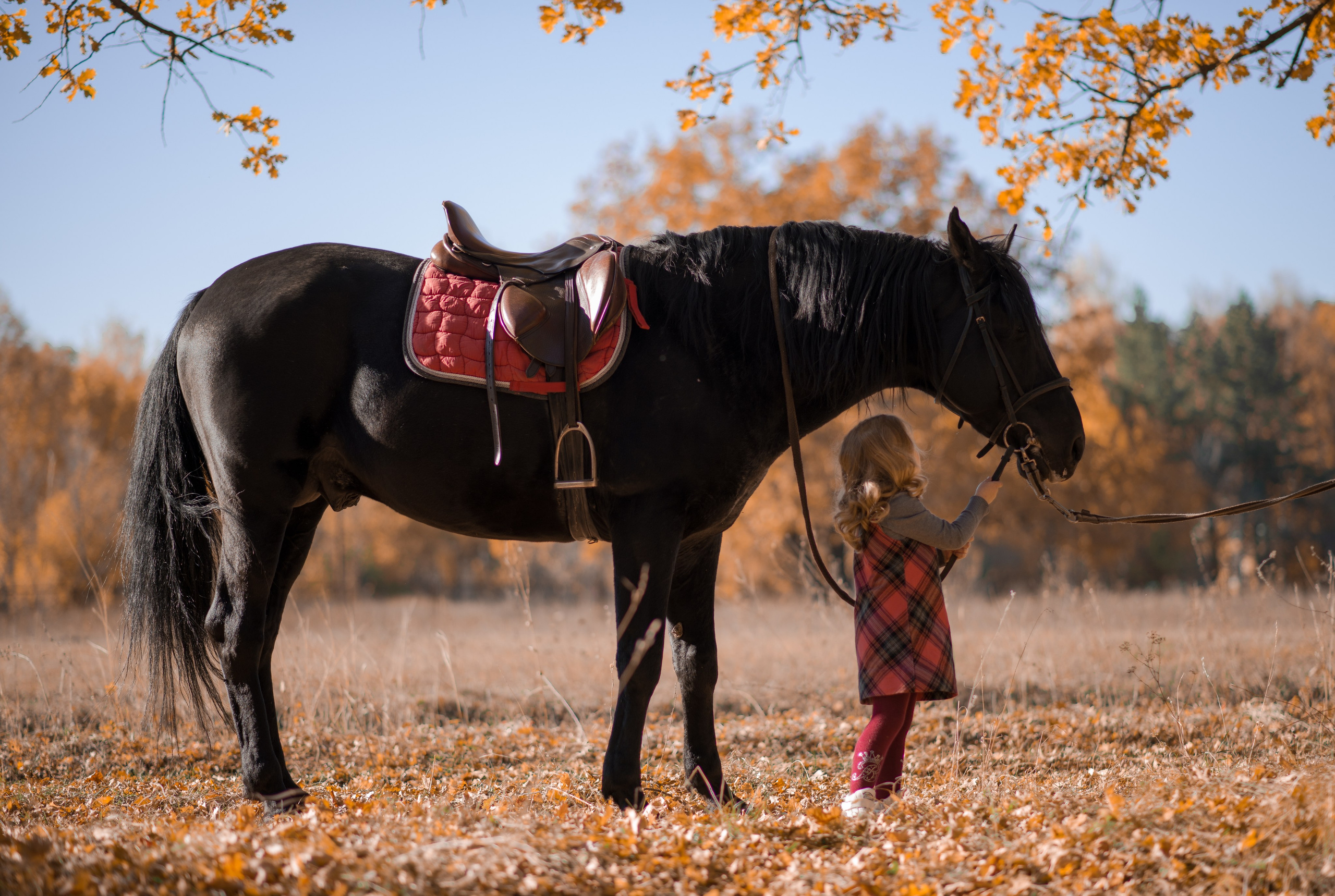 Дети и лошади. Конный фотограф в Саратове Юлия Иванова