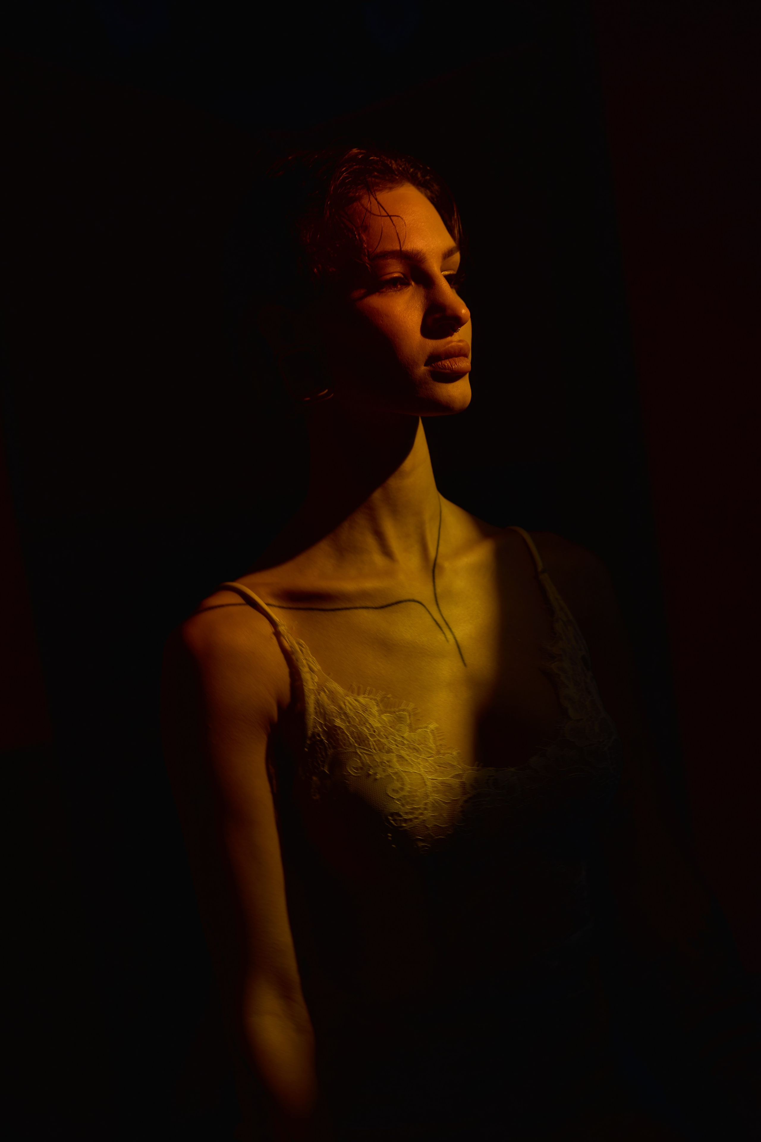 Портфолио. Свадебный фотограф Соколов Валерий