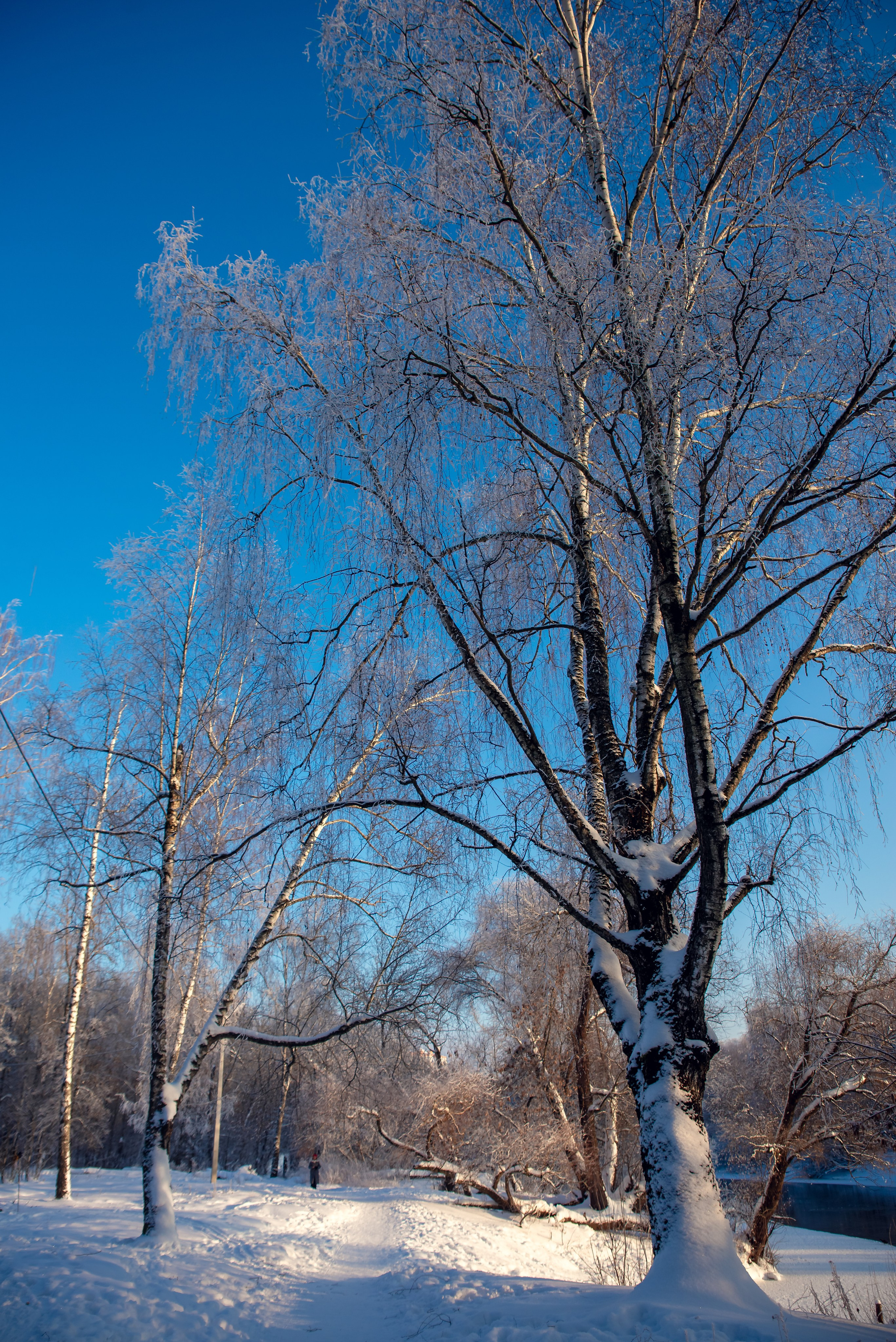Зимушка зима. Фотограф Крещение Венчание Москва