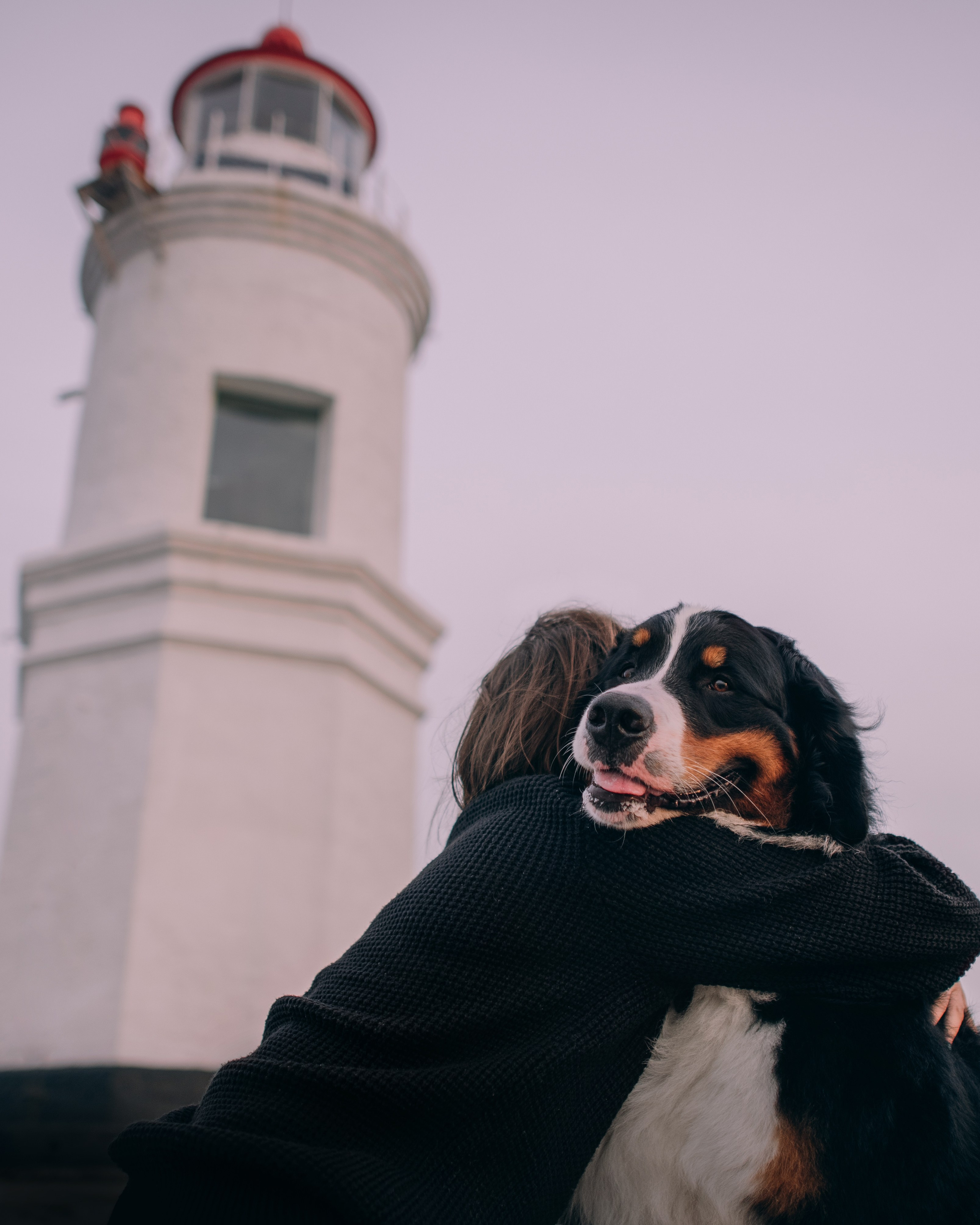 Владивосток: Марс и Маша. Портфолио