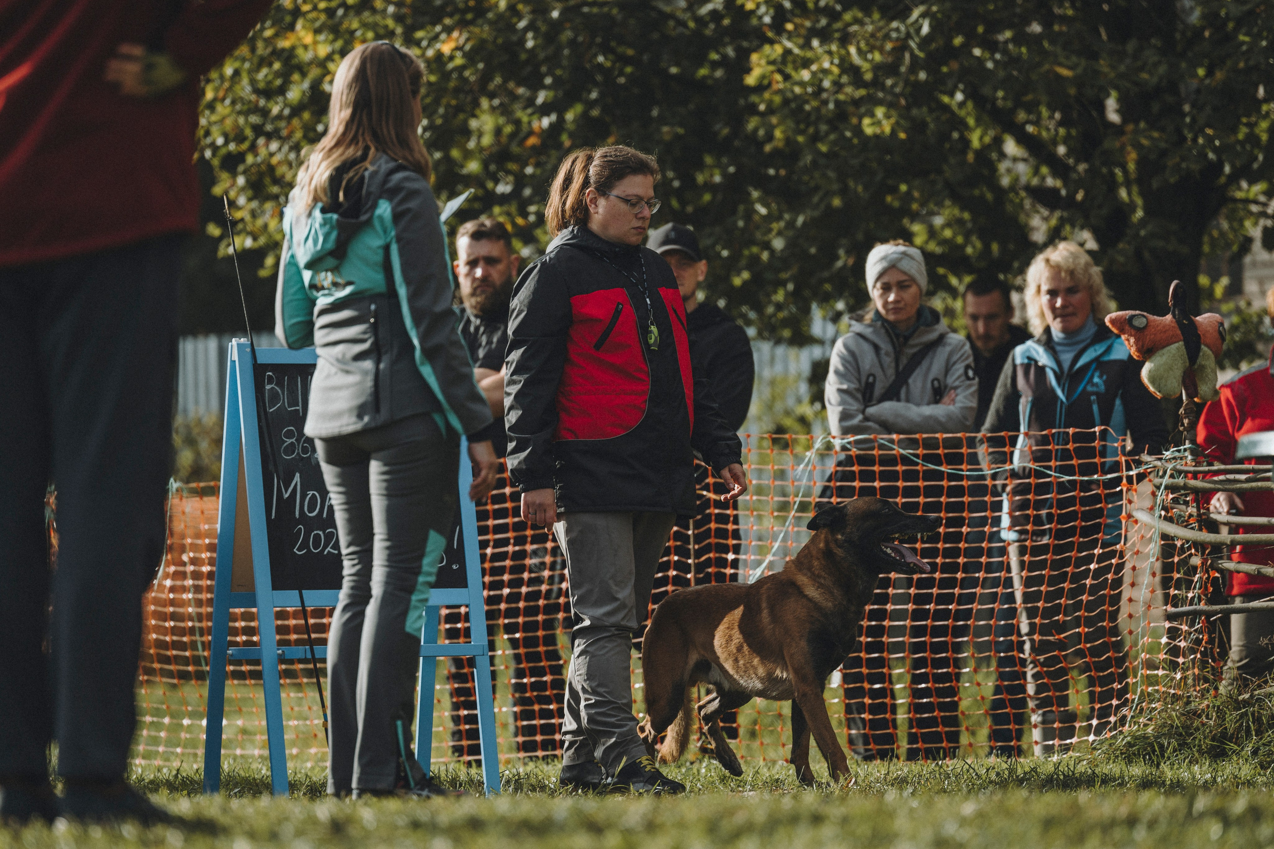Испытания по мондьорингу г. Пушкин 29.09.2024. Фотограф-анималист Анна Маринич