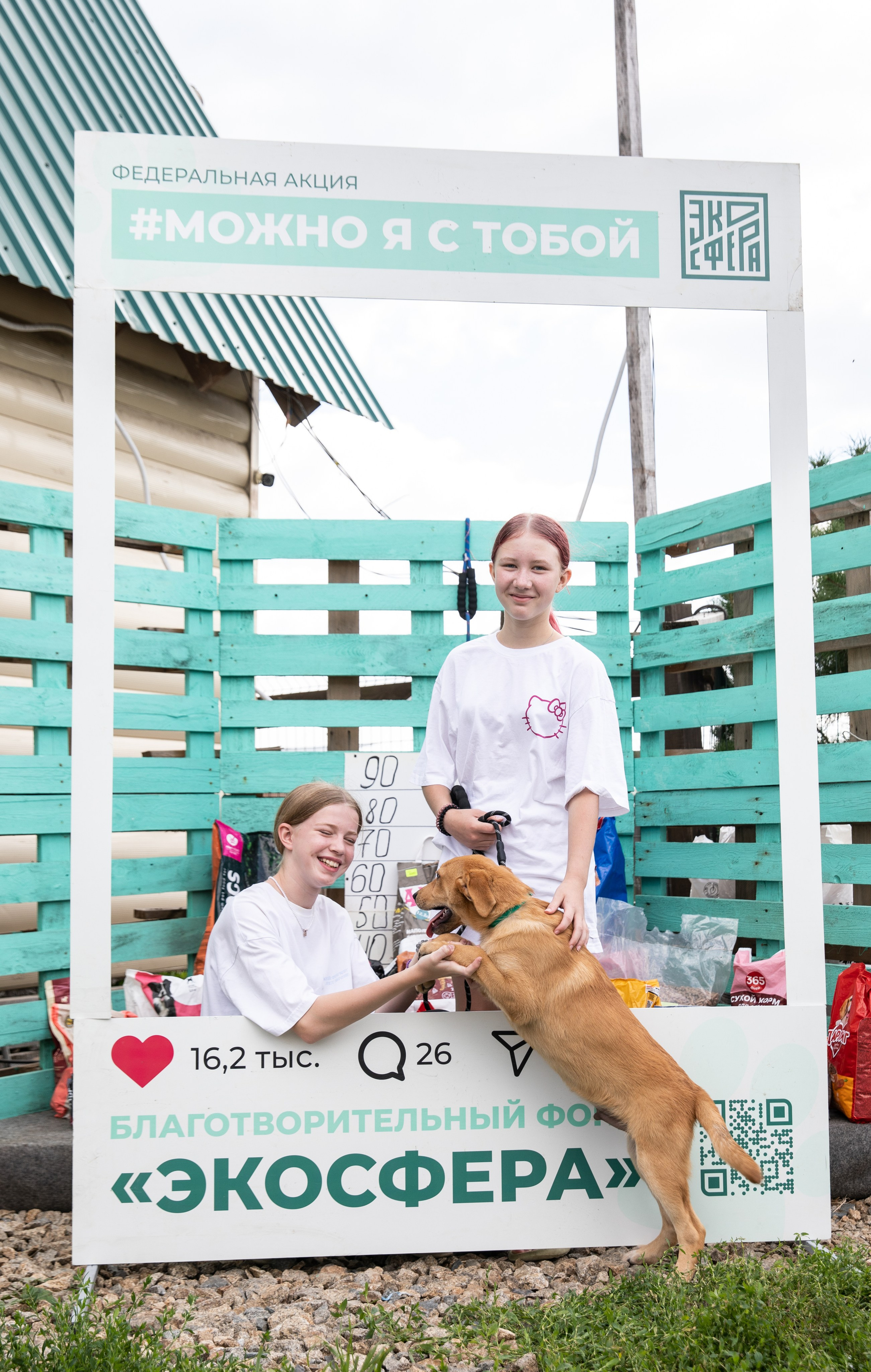 Приют — Наш дом. Репортажный и свадебный фотограф в Челябинске Елисеев Павел