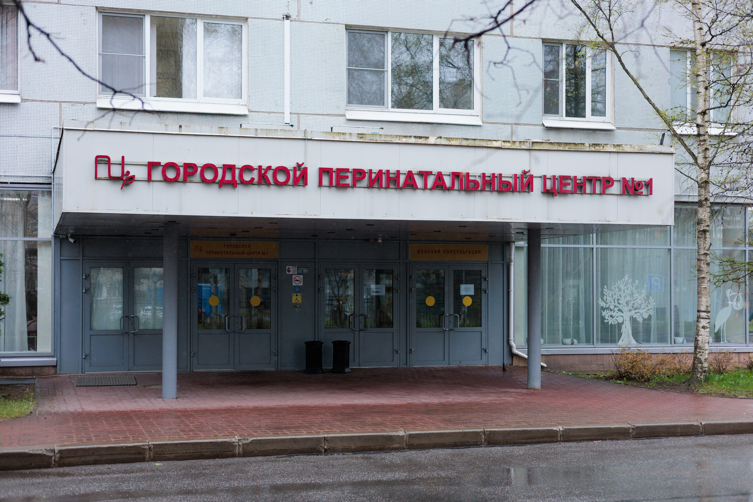 Весенняя выписка из ГПЦ 1. Фотограф на выписку из роддома в Санкт-Петербурге