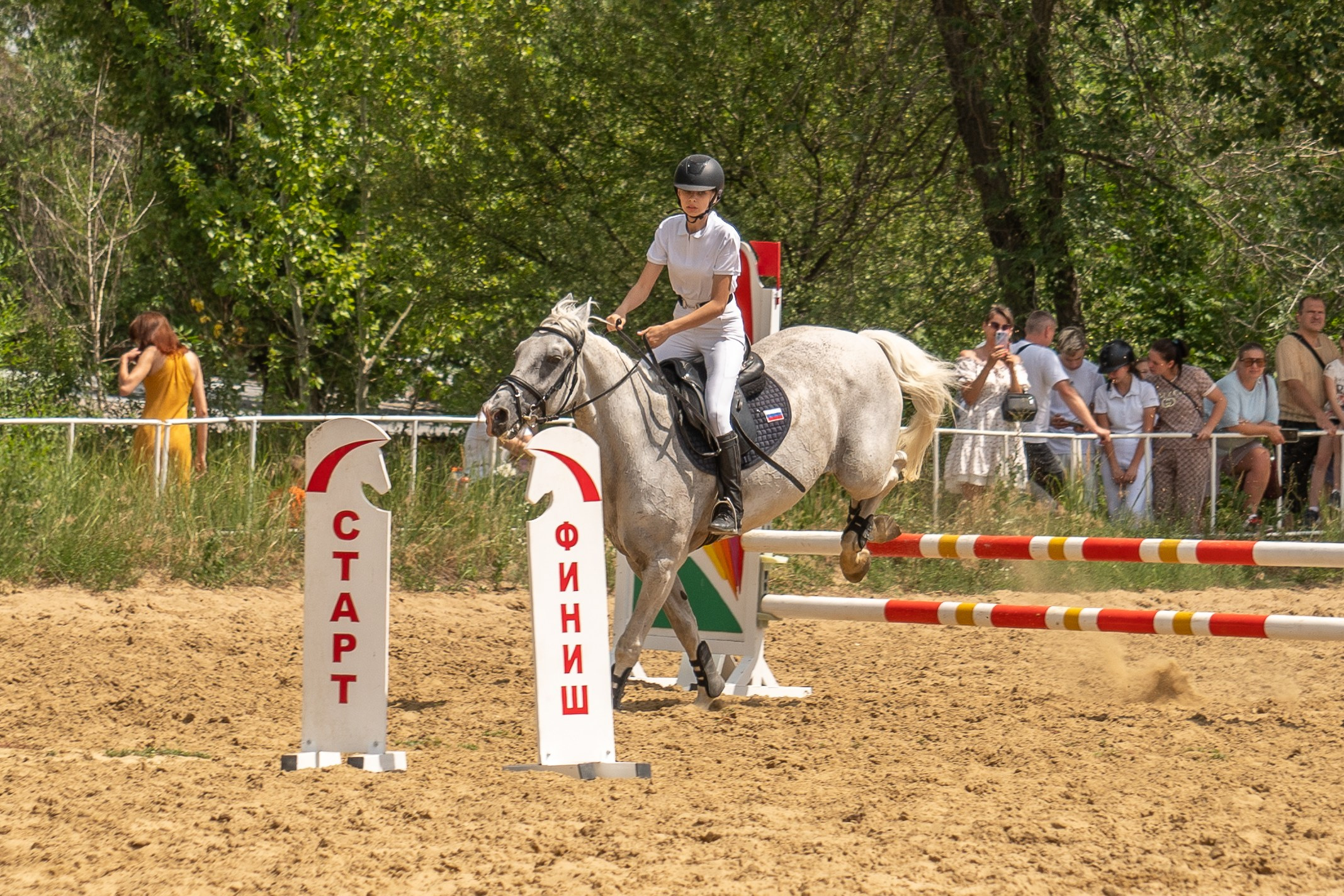Соревнования по конкуру, Луганск. Фотограф в РФ и ЛНР Юлия Федосеева