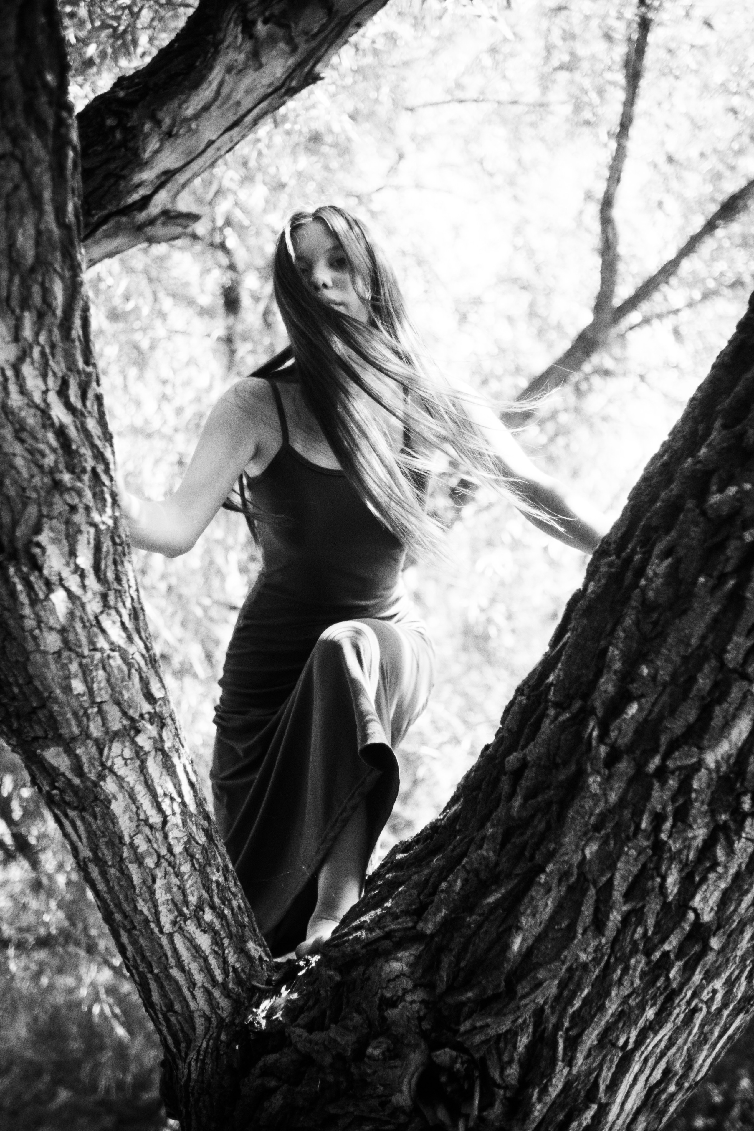 Дарна на дереве. Фотограф Коробова Екатерина