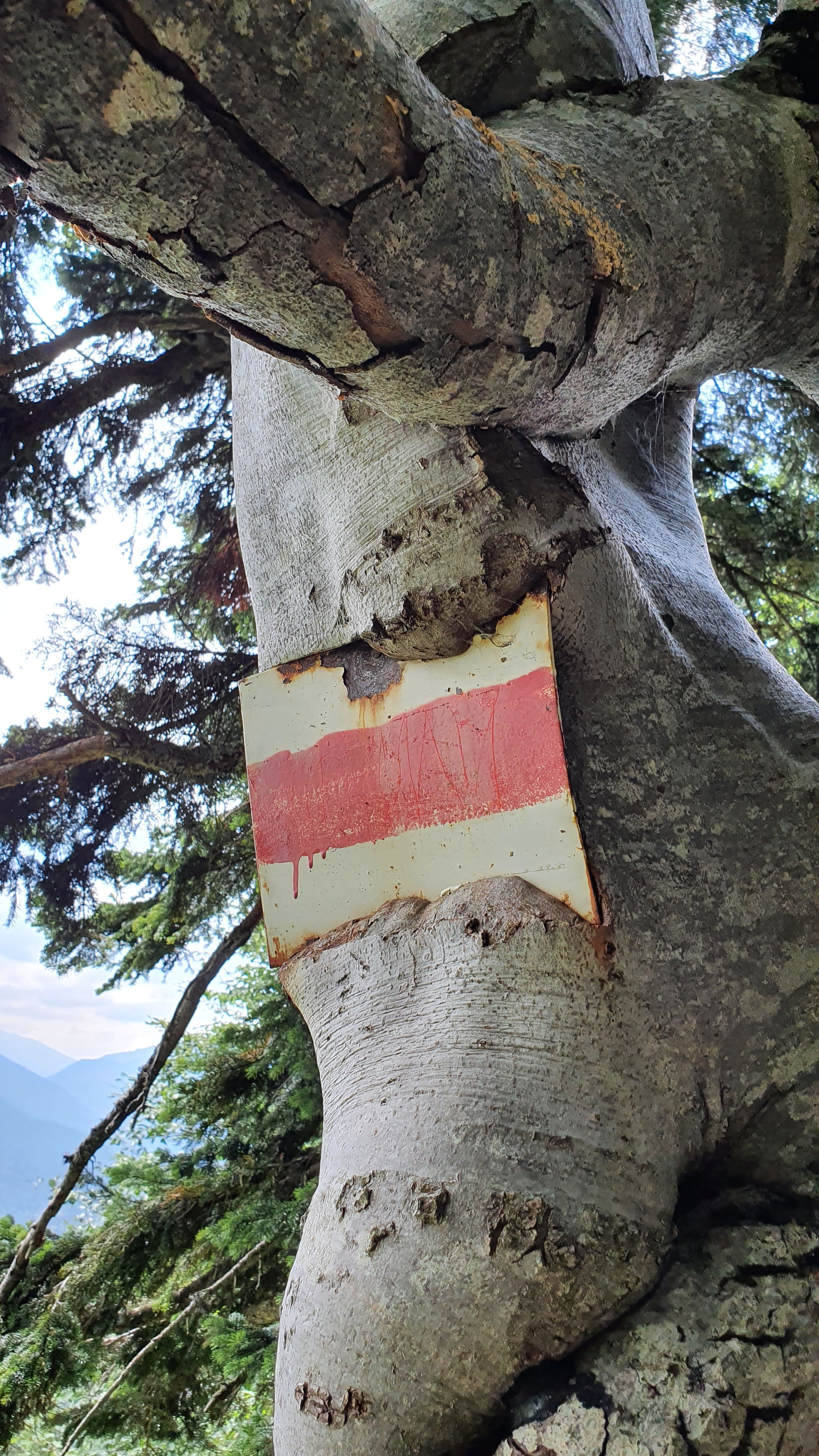 ФИШТ — ОШТЕН. Любовь Моргасова [LU SPRING]: Фотограф и куратор