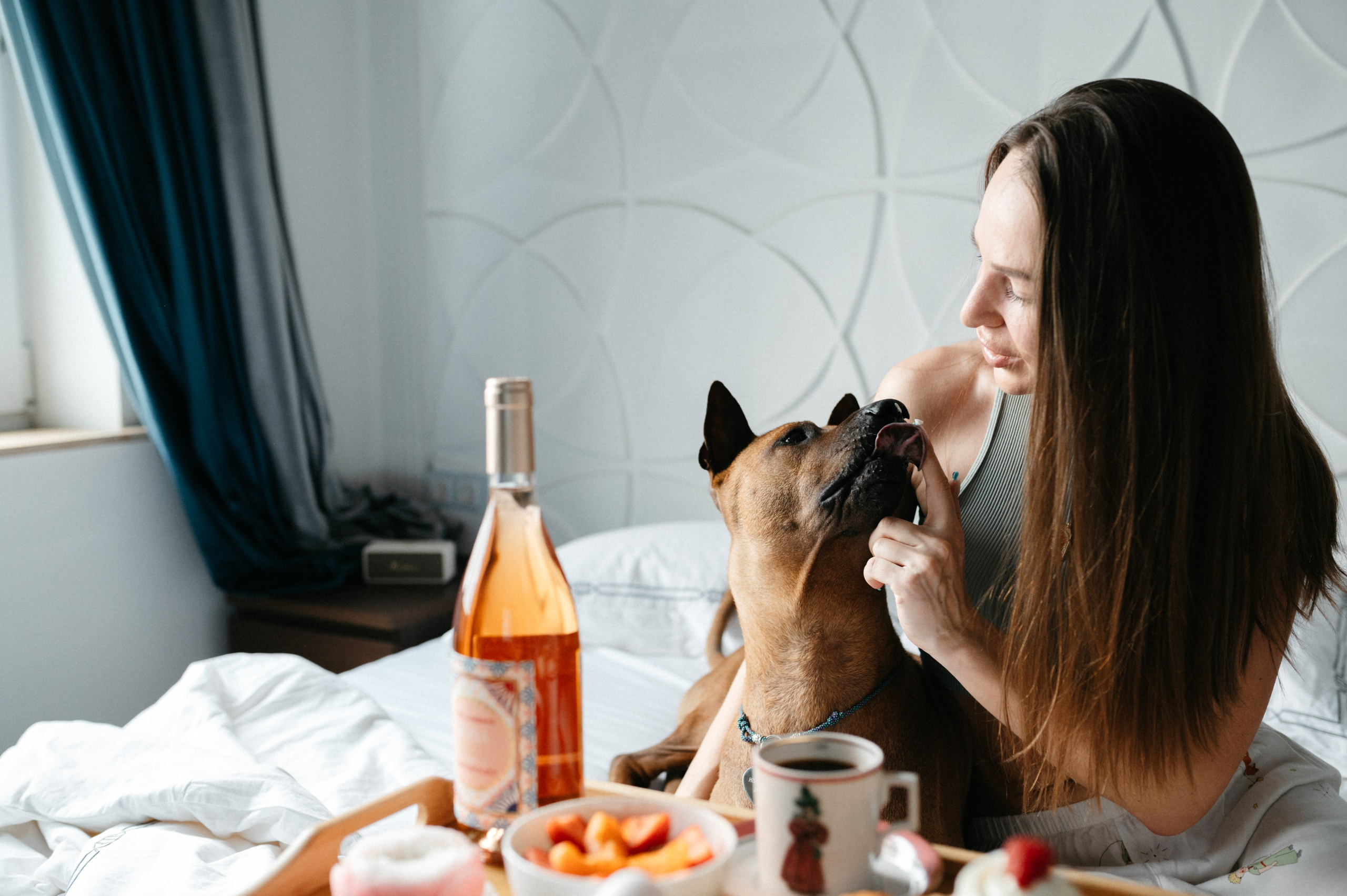 Оксана и Зевс. Фотограф анималист в Москве Ольга Агушева