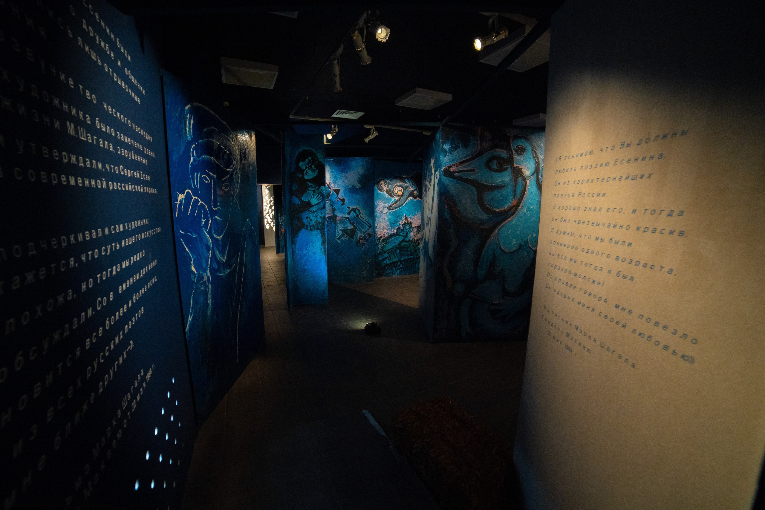 Есенин-центр Московского государственного музея С. А. Есенина. Профессиональный портретный фотограф в Москве Владимир Глаголев