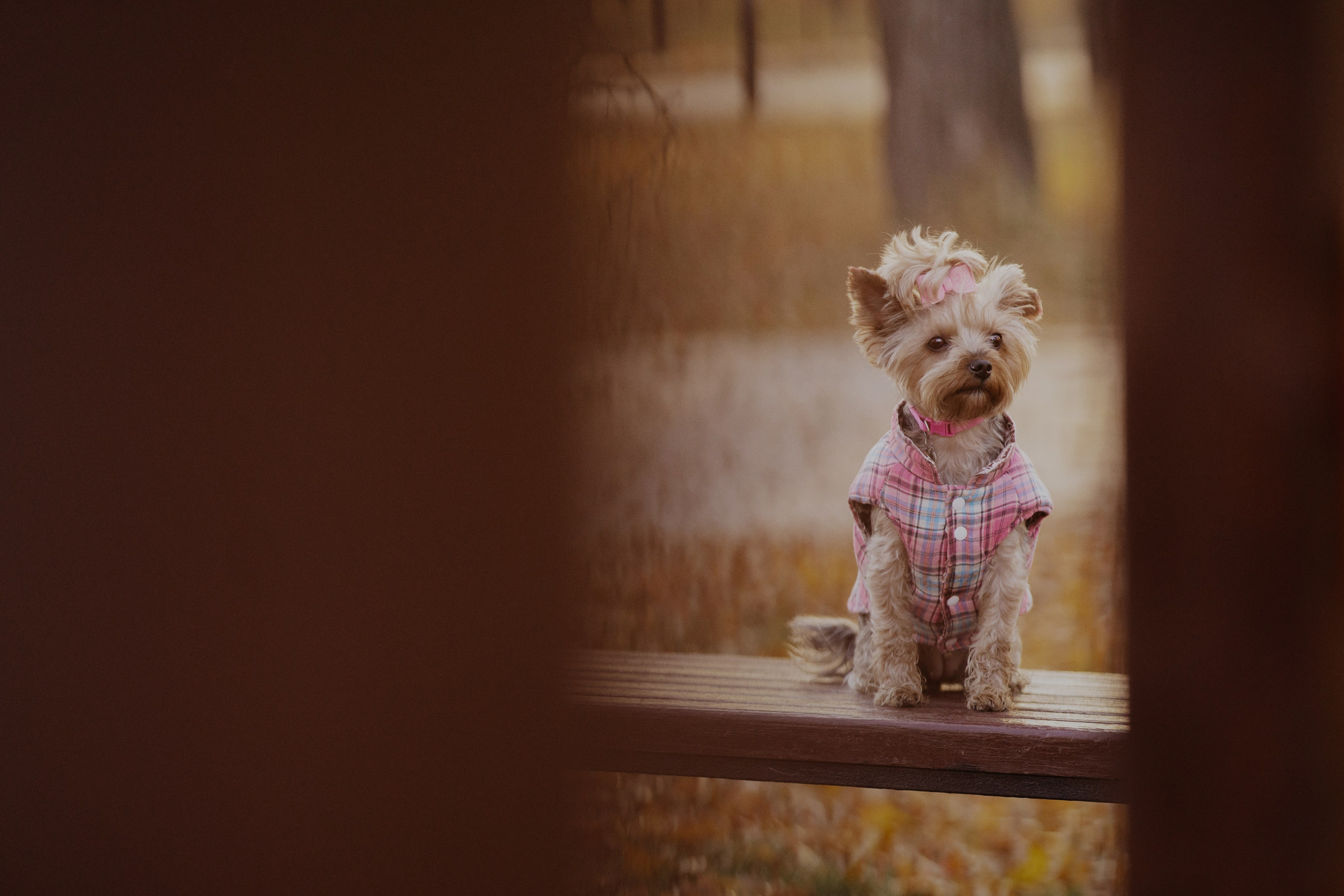 Мария + Роксана (история дружбы). Kameramotor74